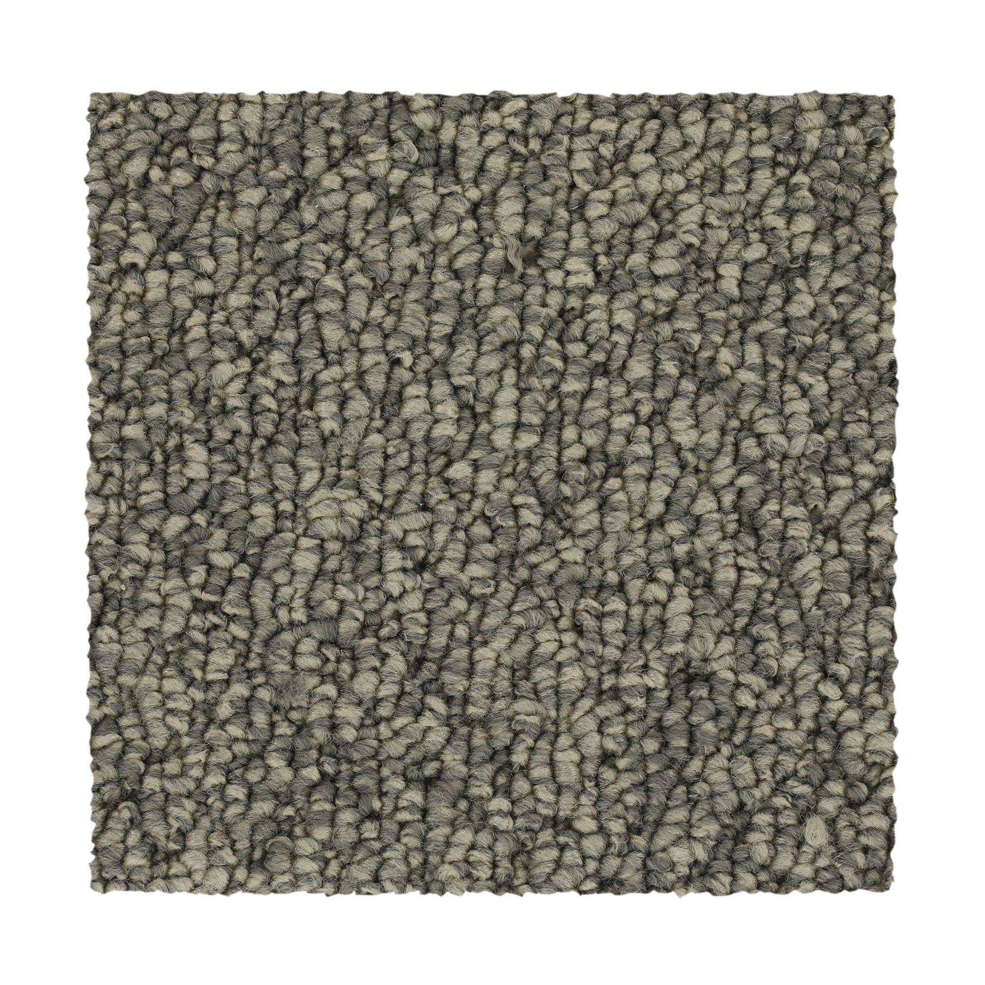  SS027-12-L004 Pro Renovations - Shaded Solace Snow Caps Gray 25-oz sq yard Solution-dyed polyester Pattern Indoor Carpet