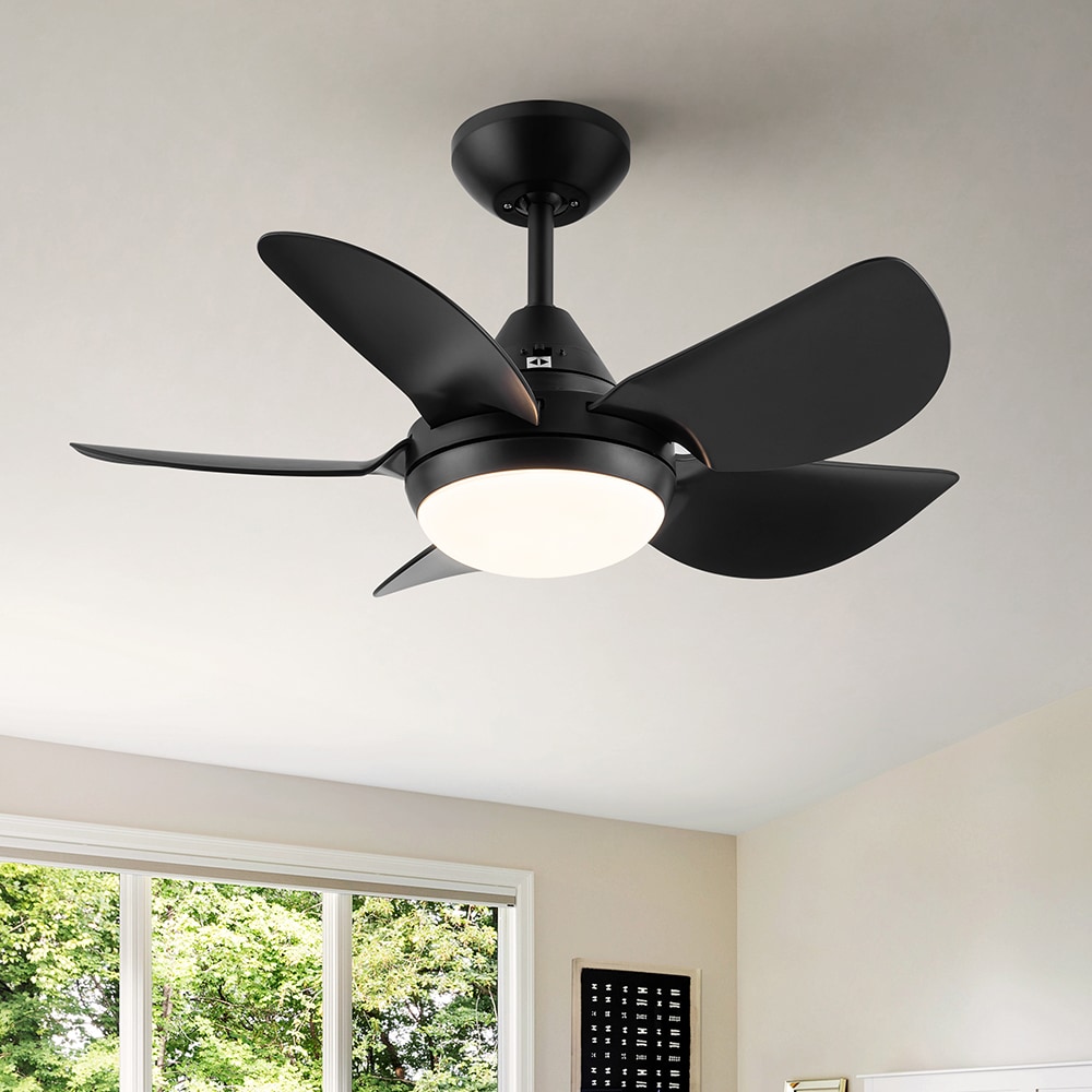 Sunrinx CF-9-DS Ceiling-Fans - View #5
