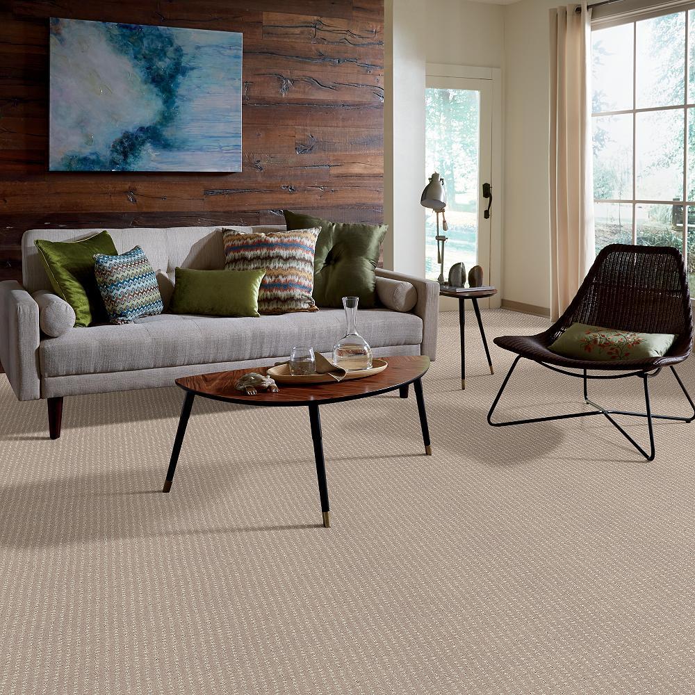 STAINMASTER B705100038 Carpet-Panel - View #6