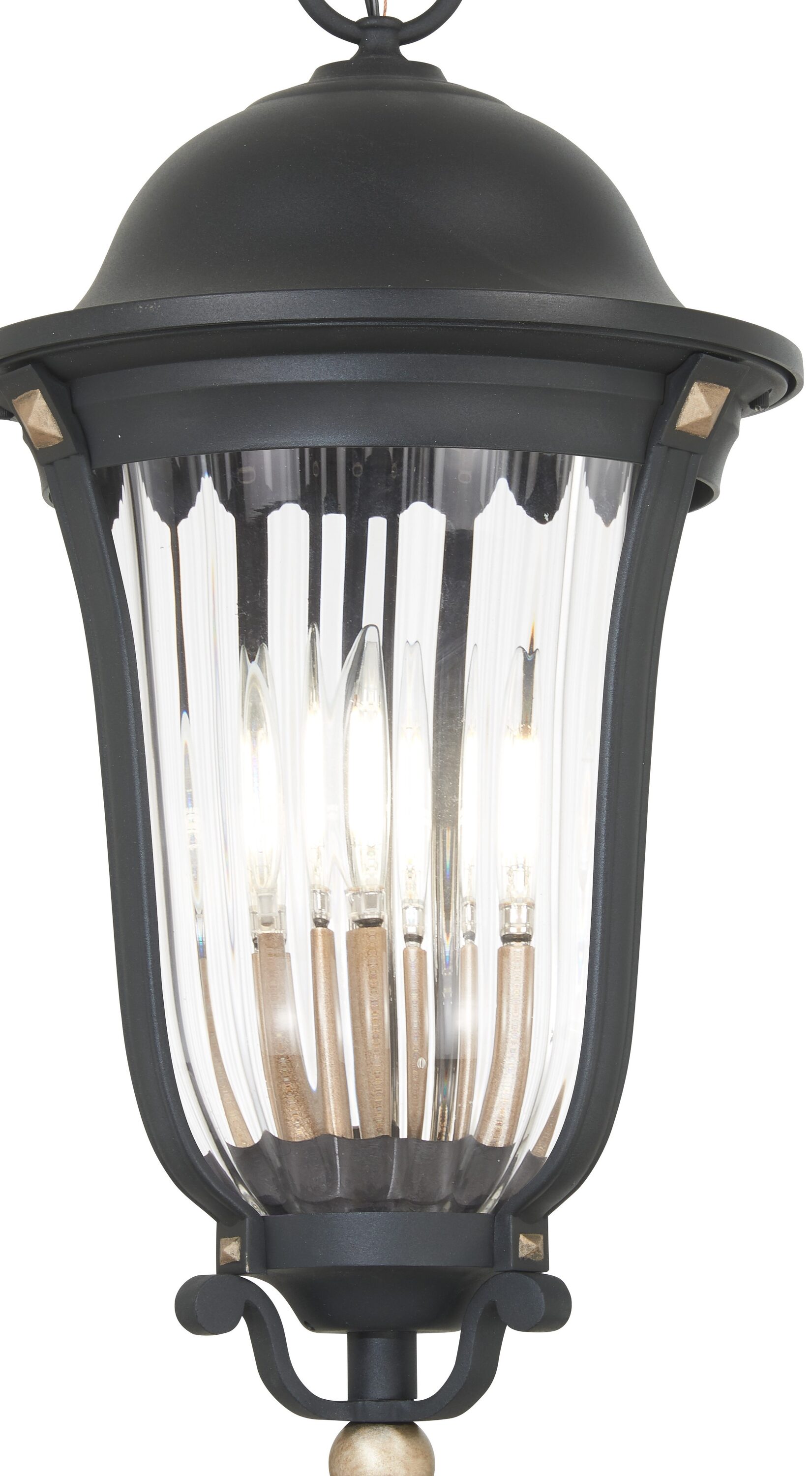 Peale Street Black and Gold 4-Light Outdoor Hanging Lantern
