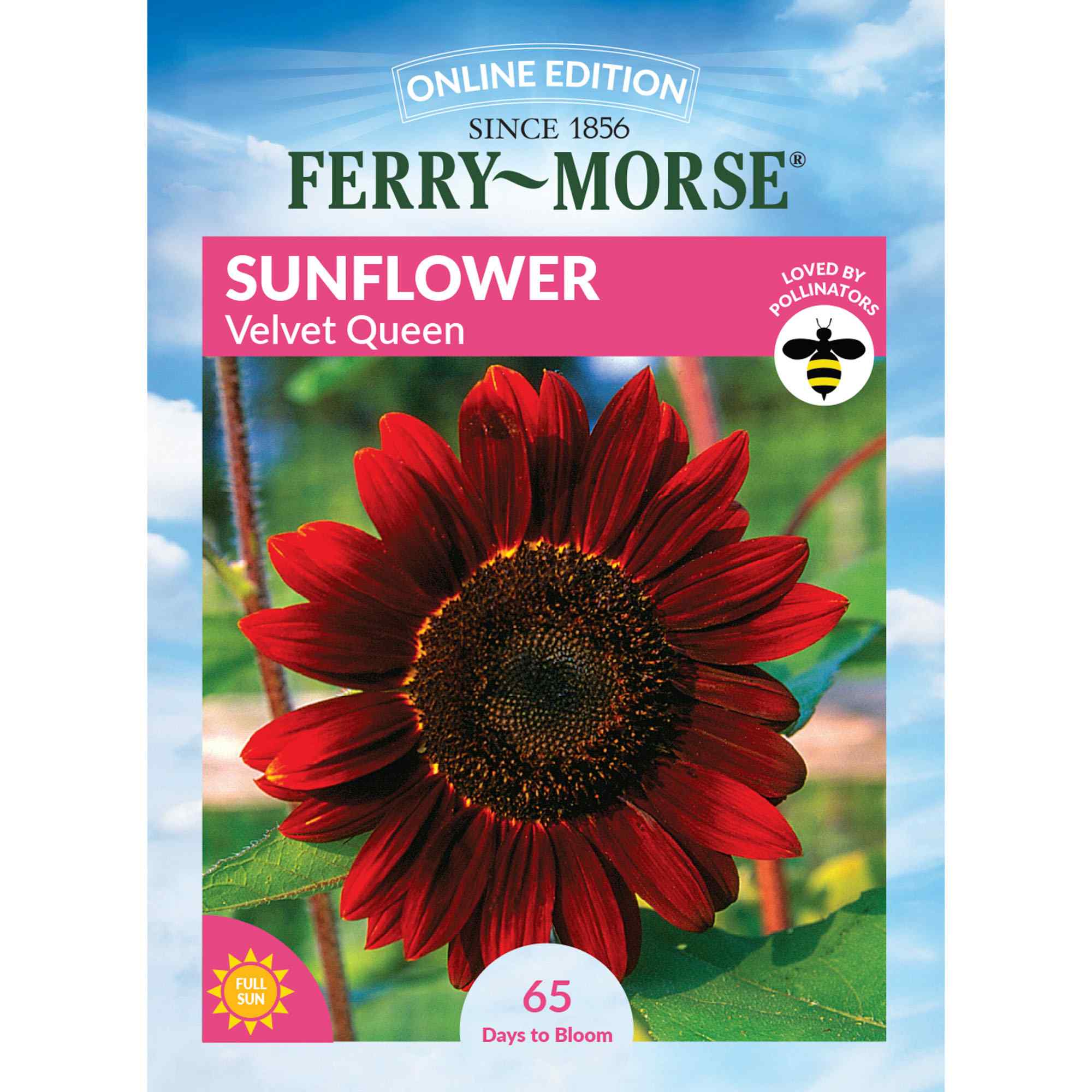 Flower Seeds Bloom Color Family Red