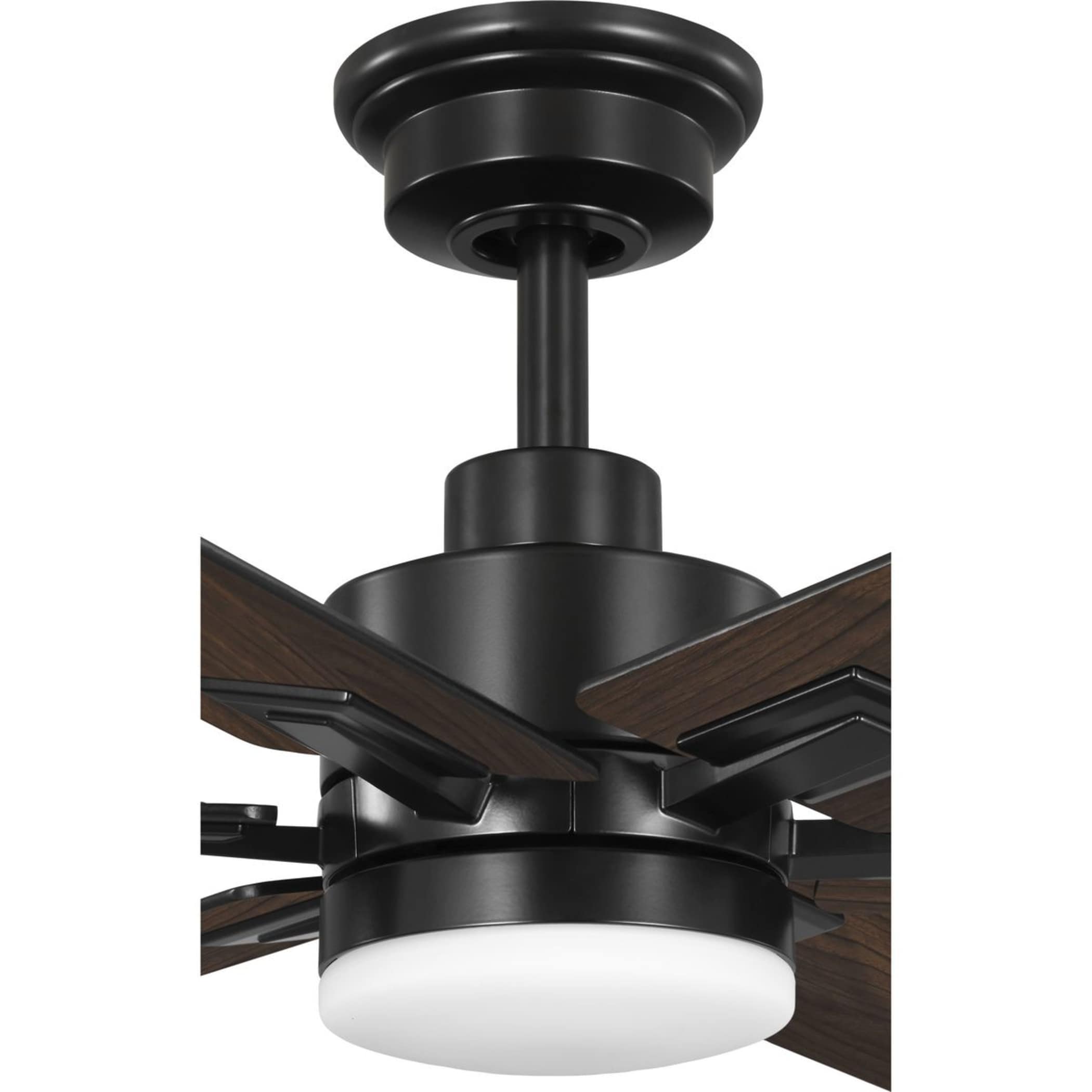 Progress Lighting P250103-31M-CS Ceiling-Fans - View #7