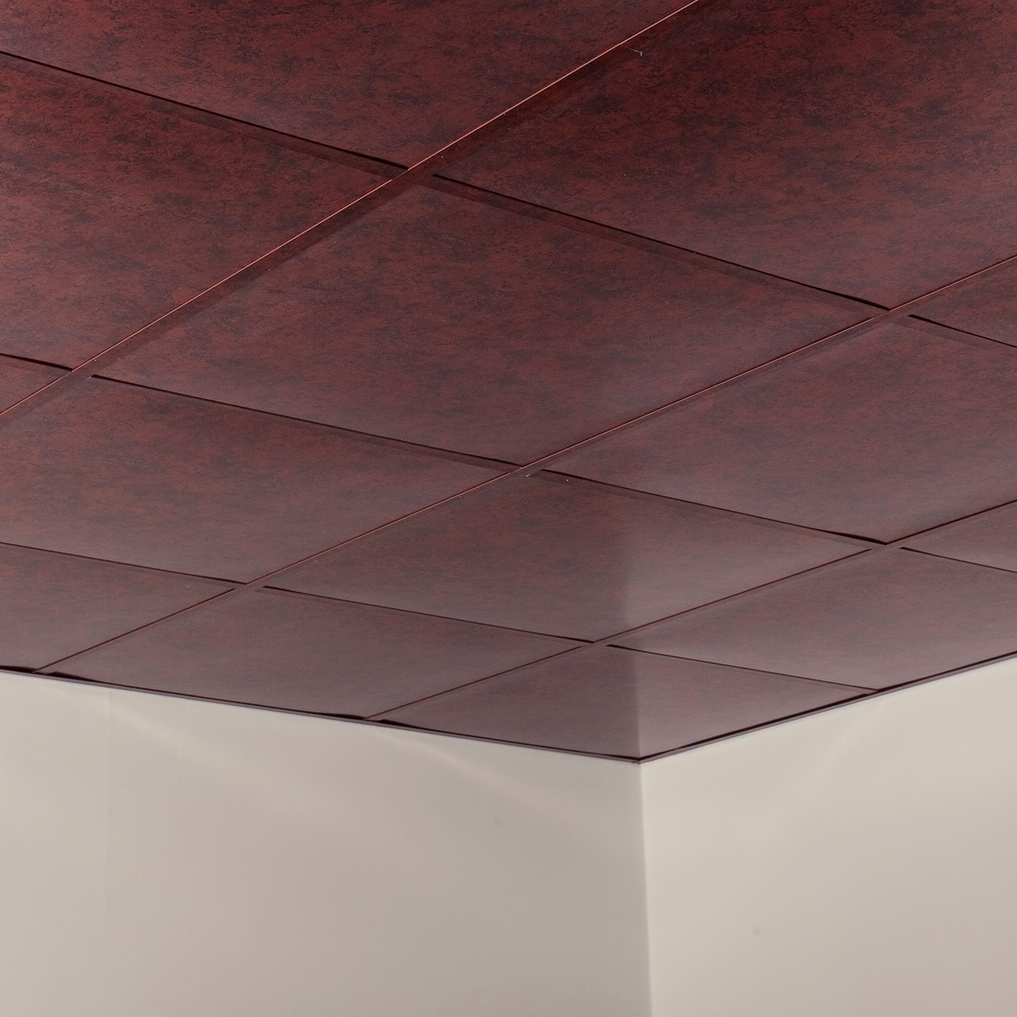 Fasade PL6918 Ceiling-Tile - View #4