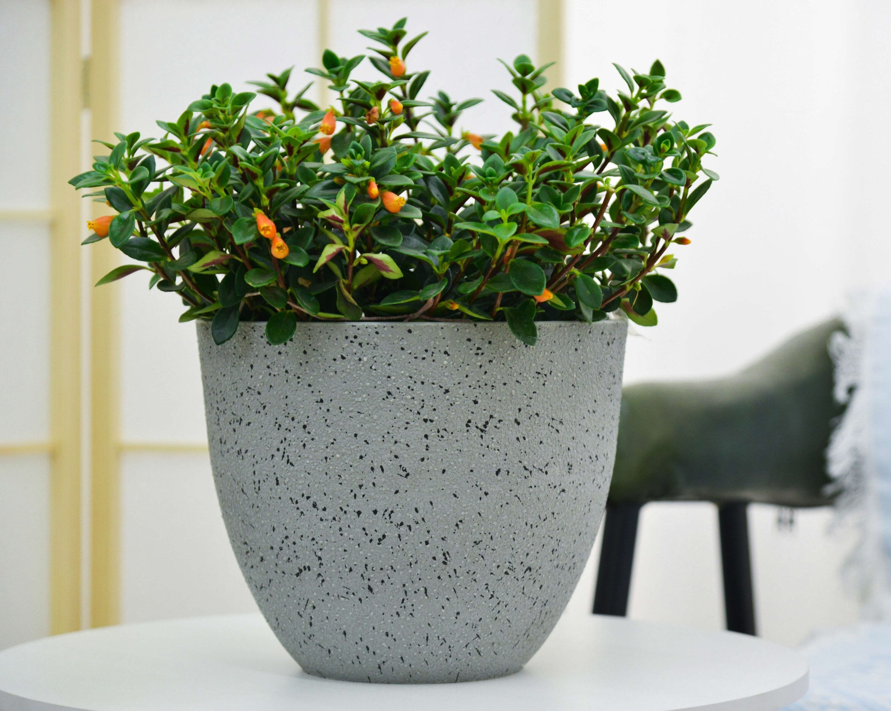 Greenship 17MJ30B Planter-Window-Box - View #2