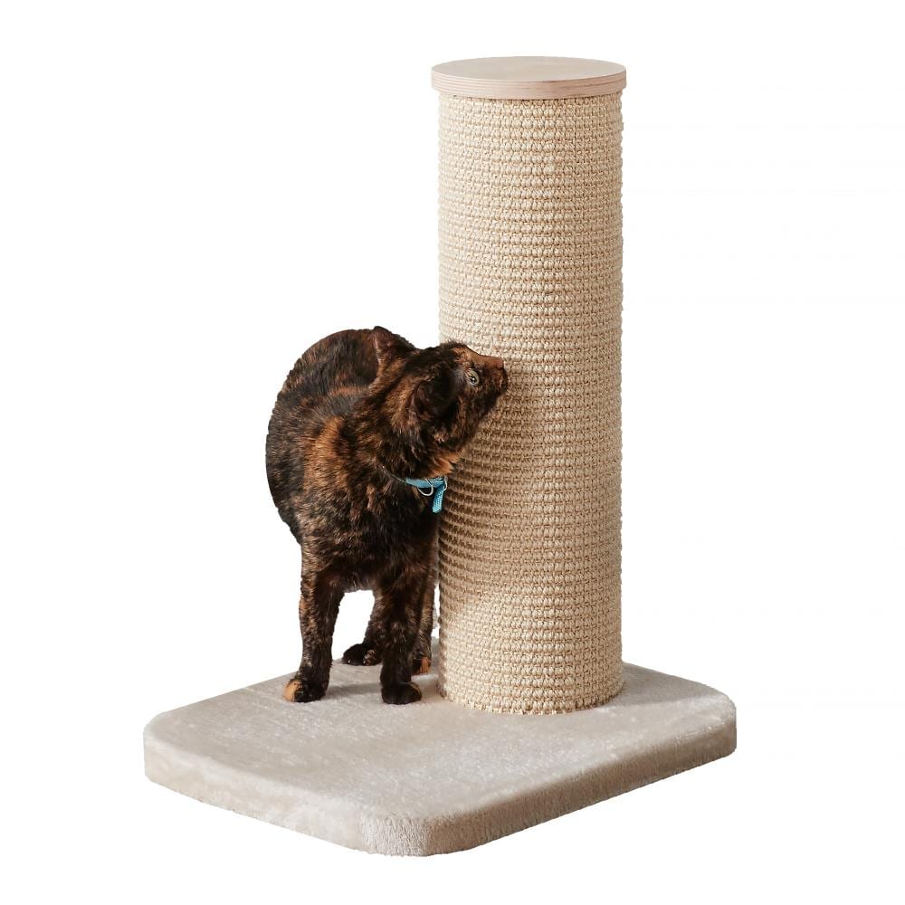 petface cat scratch post