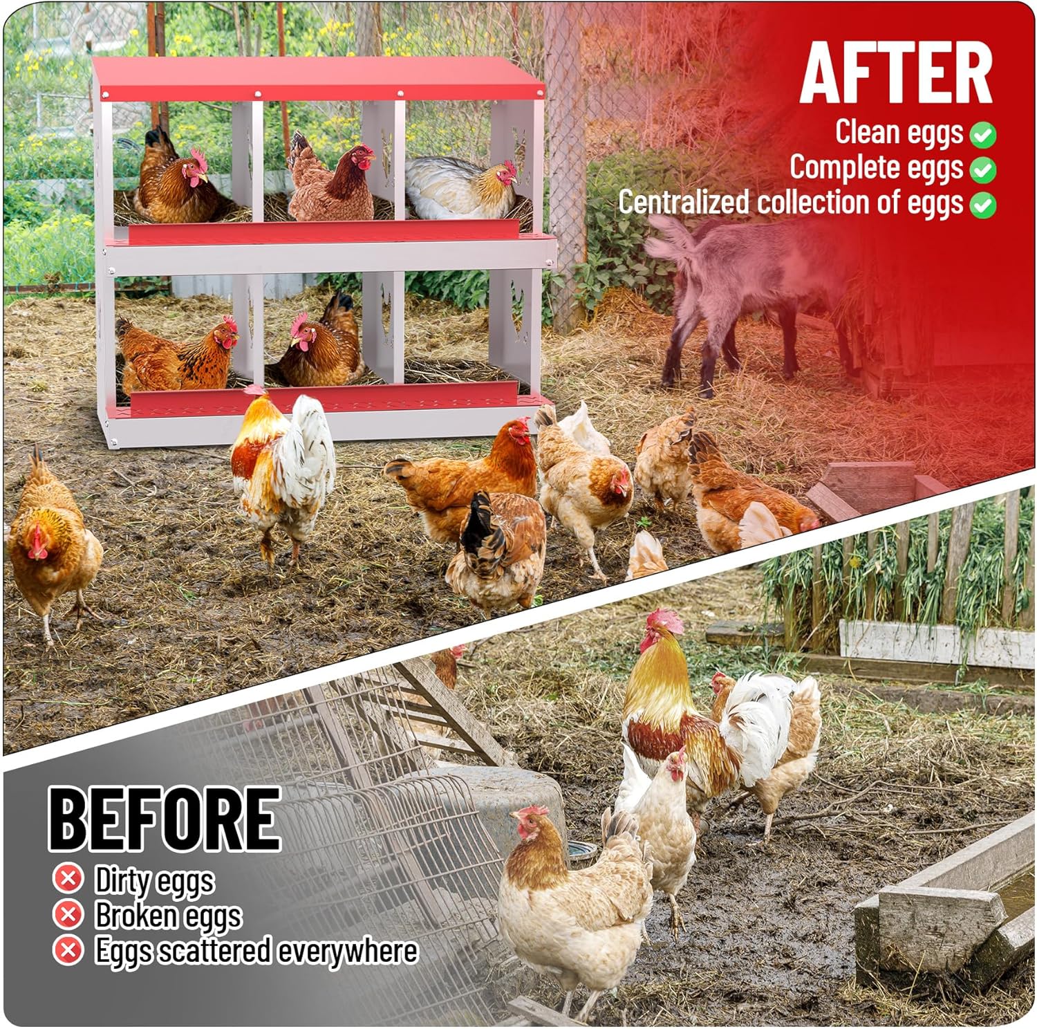 Qeetex WLS-PHO-348SAPGG Chicken-Coops-Rabbit-Hutches - View #6