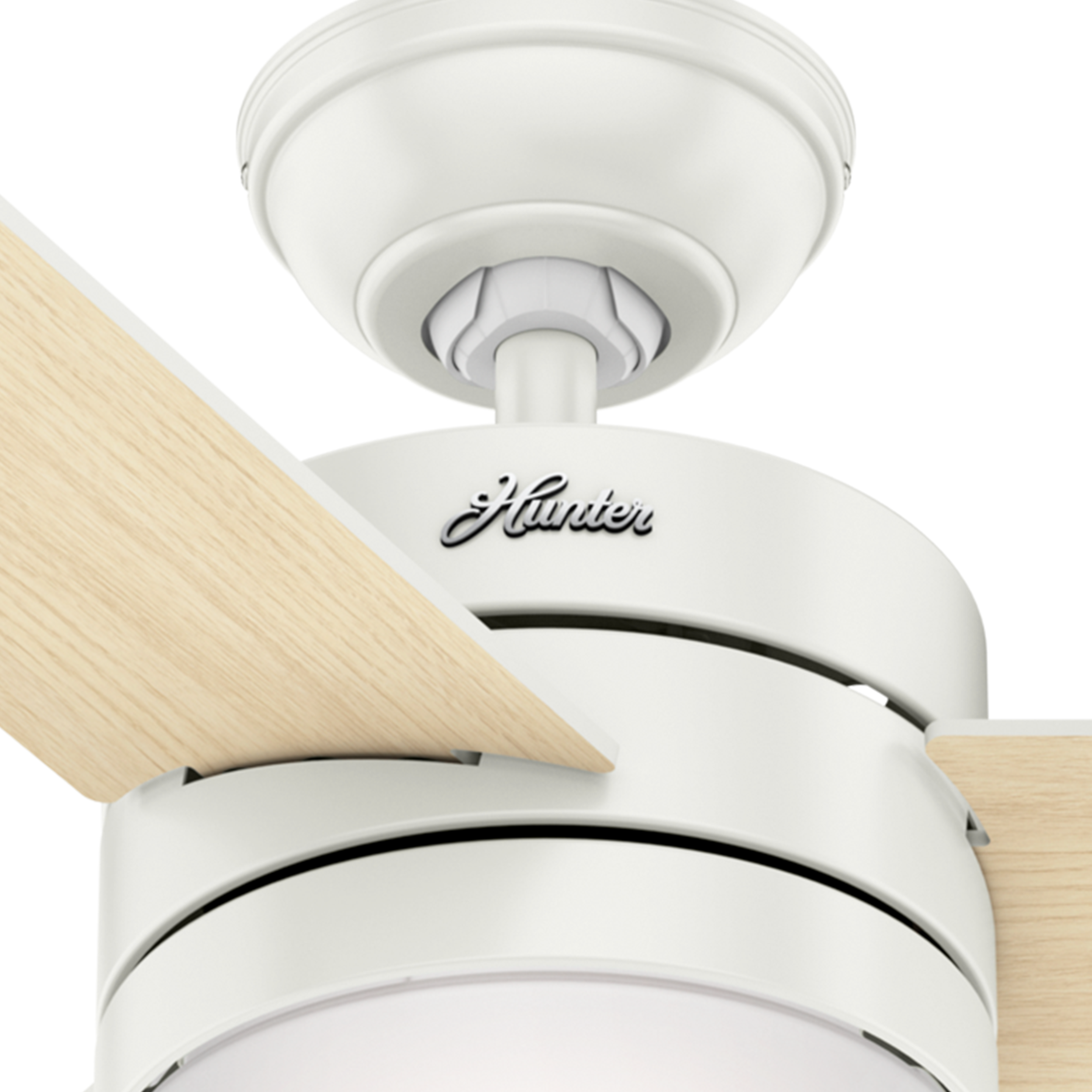 Hunter 59594 Ceiling-Fans - View #7