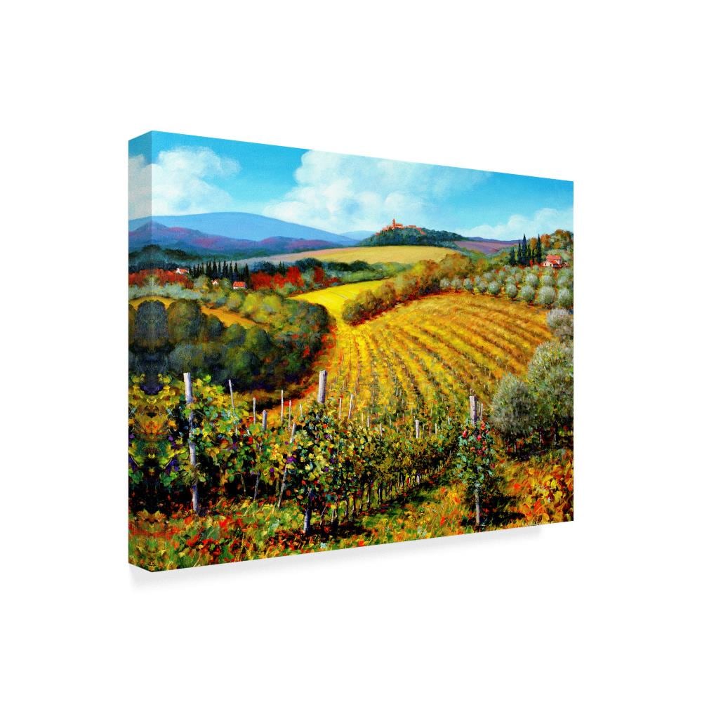 Trademark Fine Art Framed 18-in H x 24-in W Landscape Print on Canvas ...