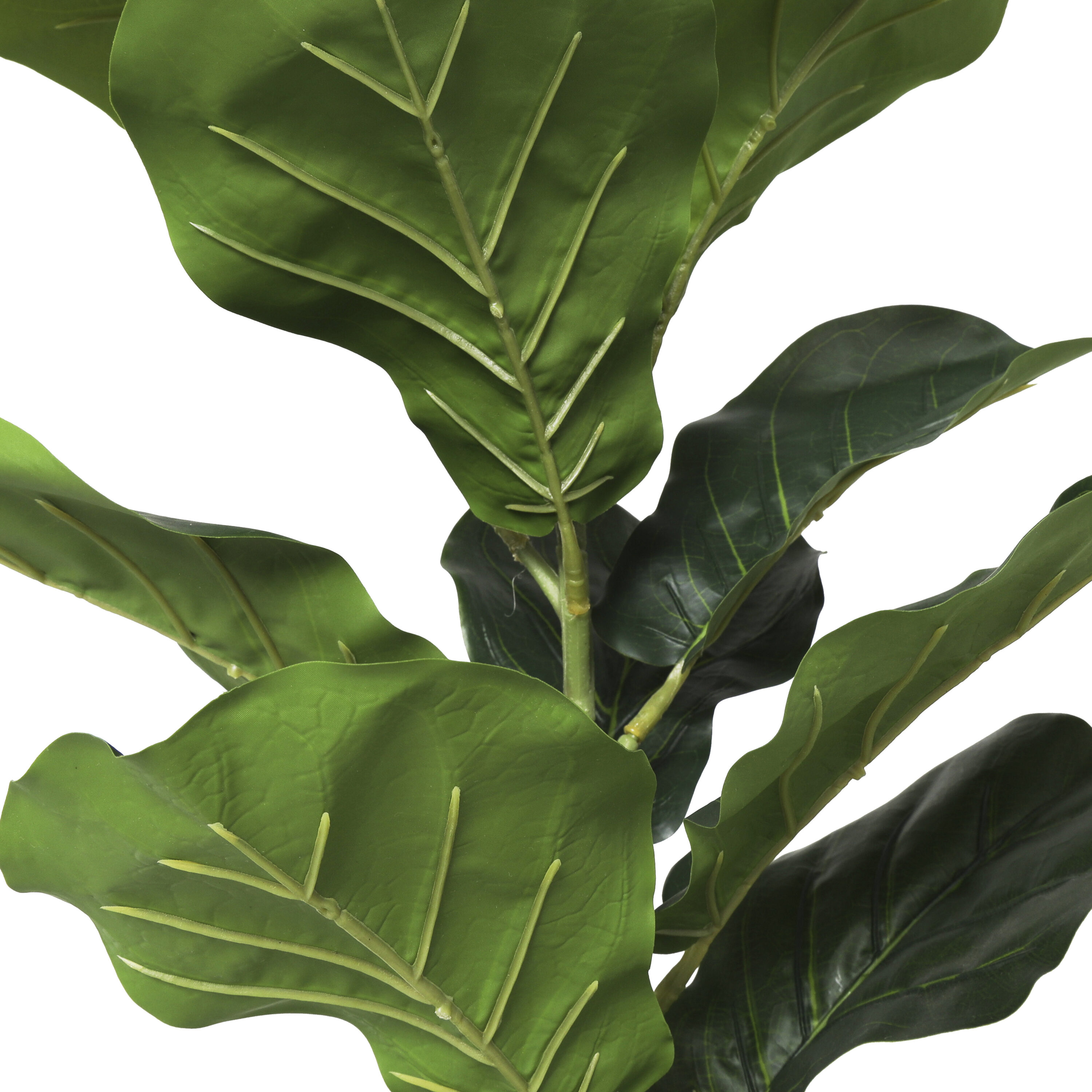 Grayson Lane 21.45-in Green with Black Pot Indoor Fiddle Leaf ...