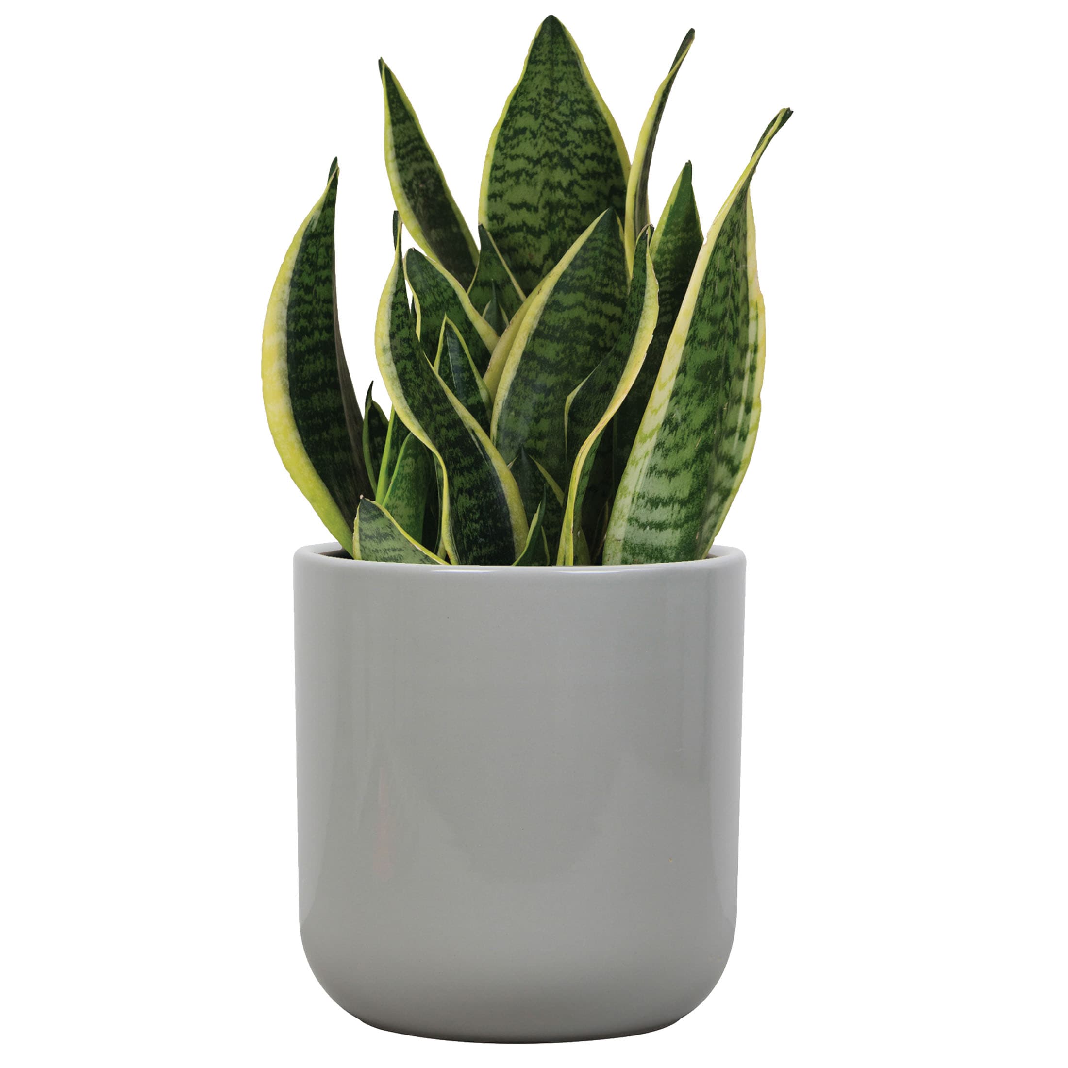 allen + roth CR01893N-06H Planter-Window-Box - View #3