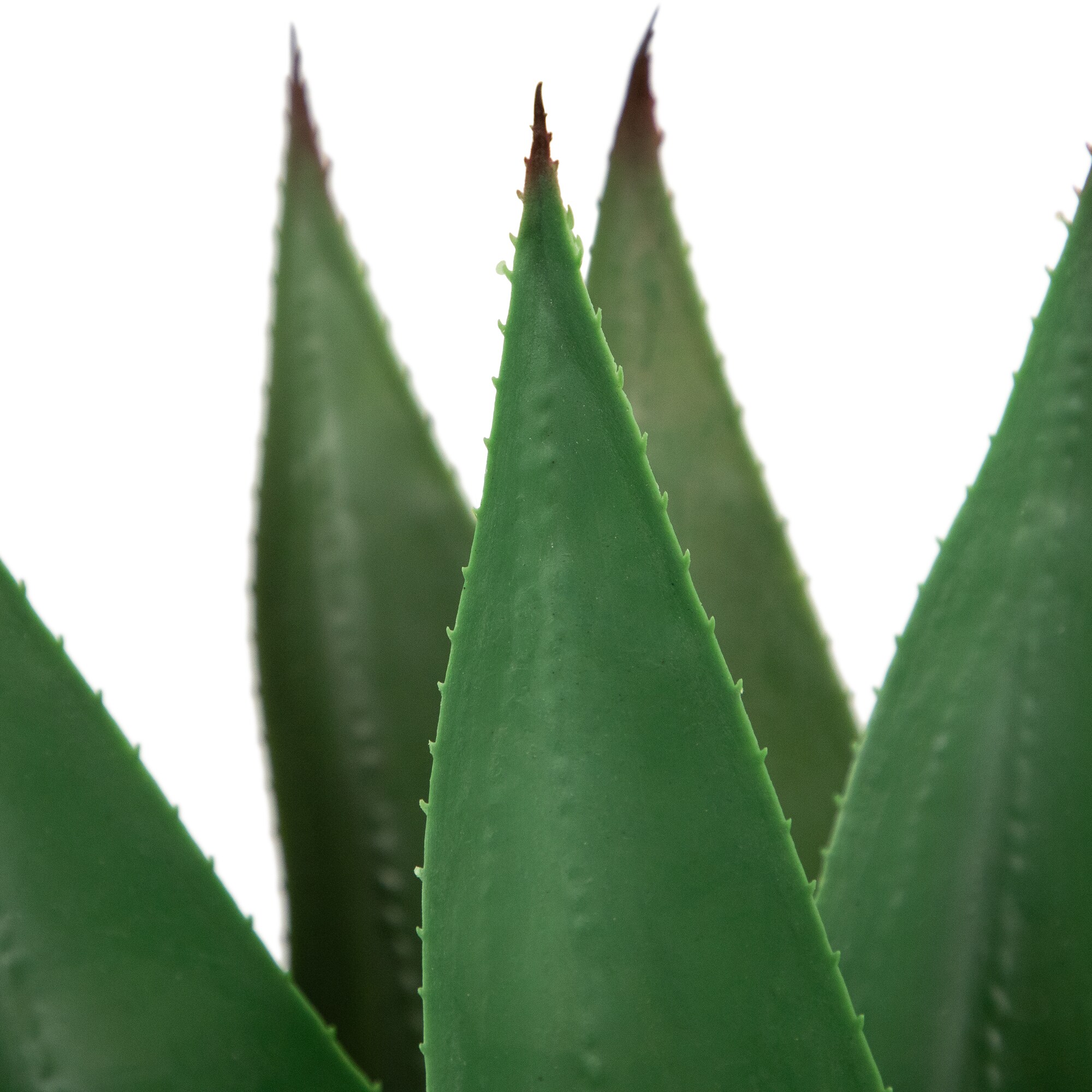 Northlight 32036236 Artificial-Plants-Trees - View #6