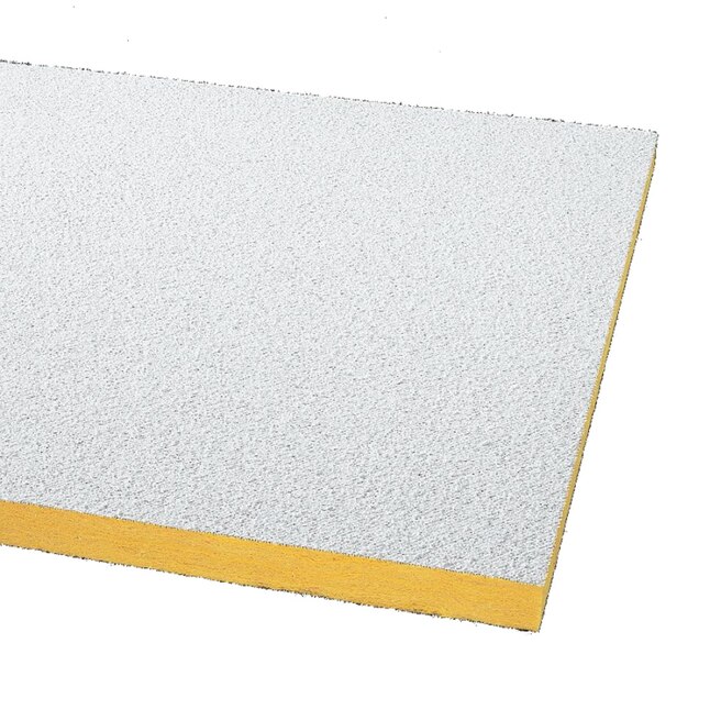 Armstrong Ceilings 48-in x 24-in Painted Nubby 12-Pack White Textured 15/16-in Drop Acoustic Panel Ceiling Tiles Armstrong Ceilings 48-in x 24-in Painted Nubby 12-Pack White Textured 15/16-in Drop Acoustic Panel Ceiling Tiles