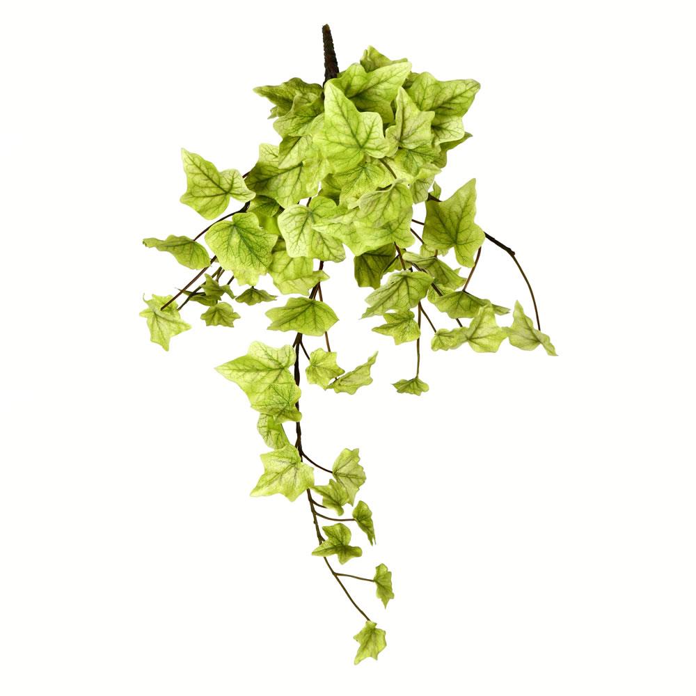 Vickerman FZ190318 18-in Green Indoor Hanging Ivy Artificial Plant
