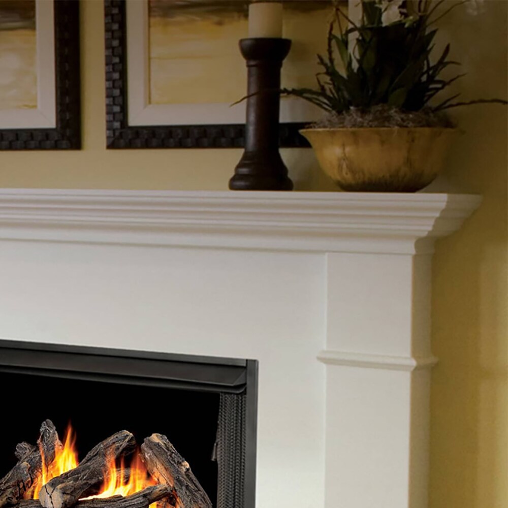 ProCom WAN24N-2 Gas-Logs - View #3
