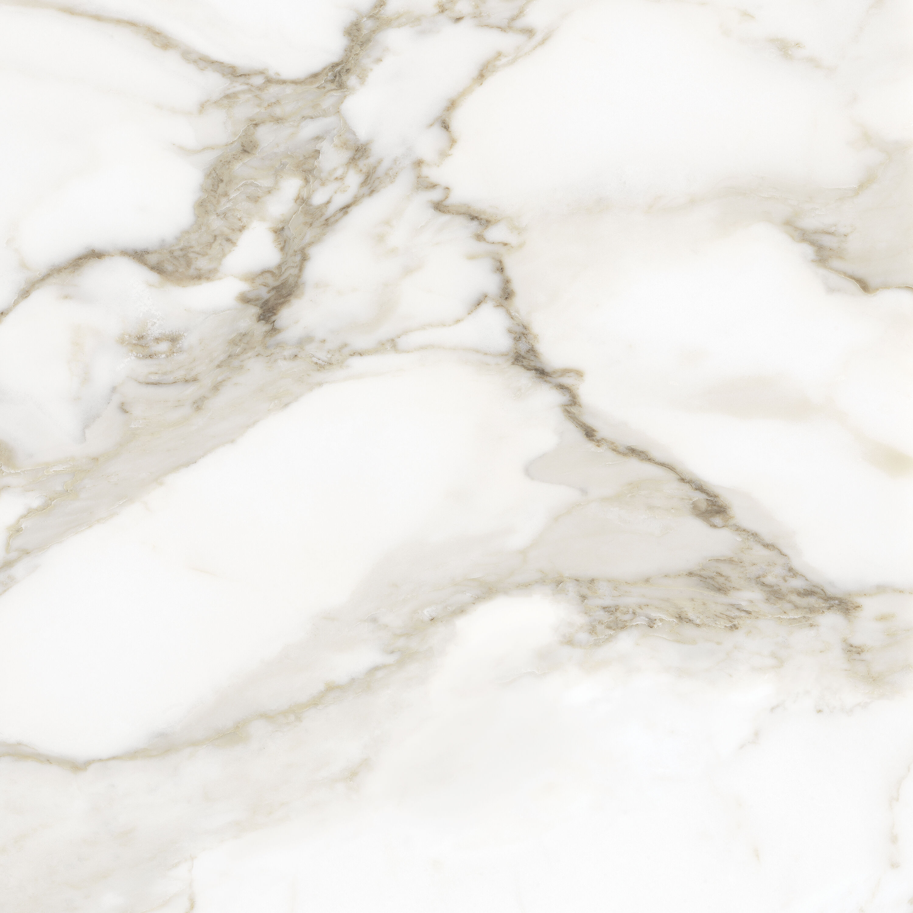 Anatolia La Marca Cala Paonazzo 12-in x 24-in Honed Porcelain Marble Look Floor and Wall Tile (15.5-sq. ft/ Carton)