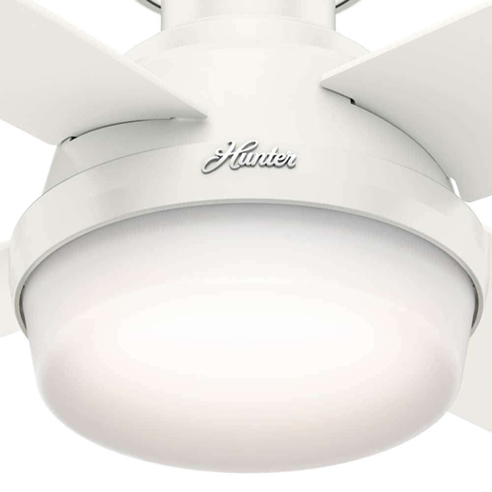 Hunter 59244 Ceiling-Fans - View #14