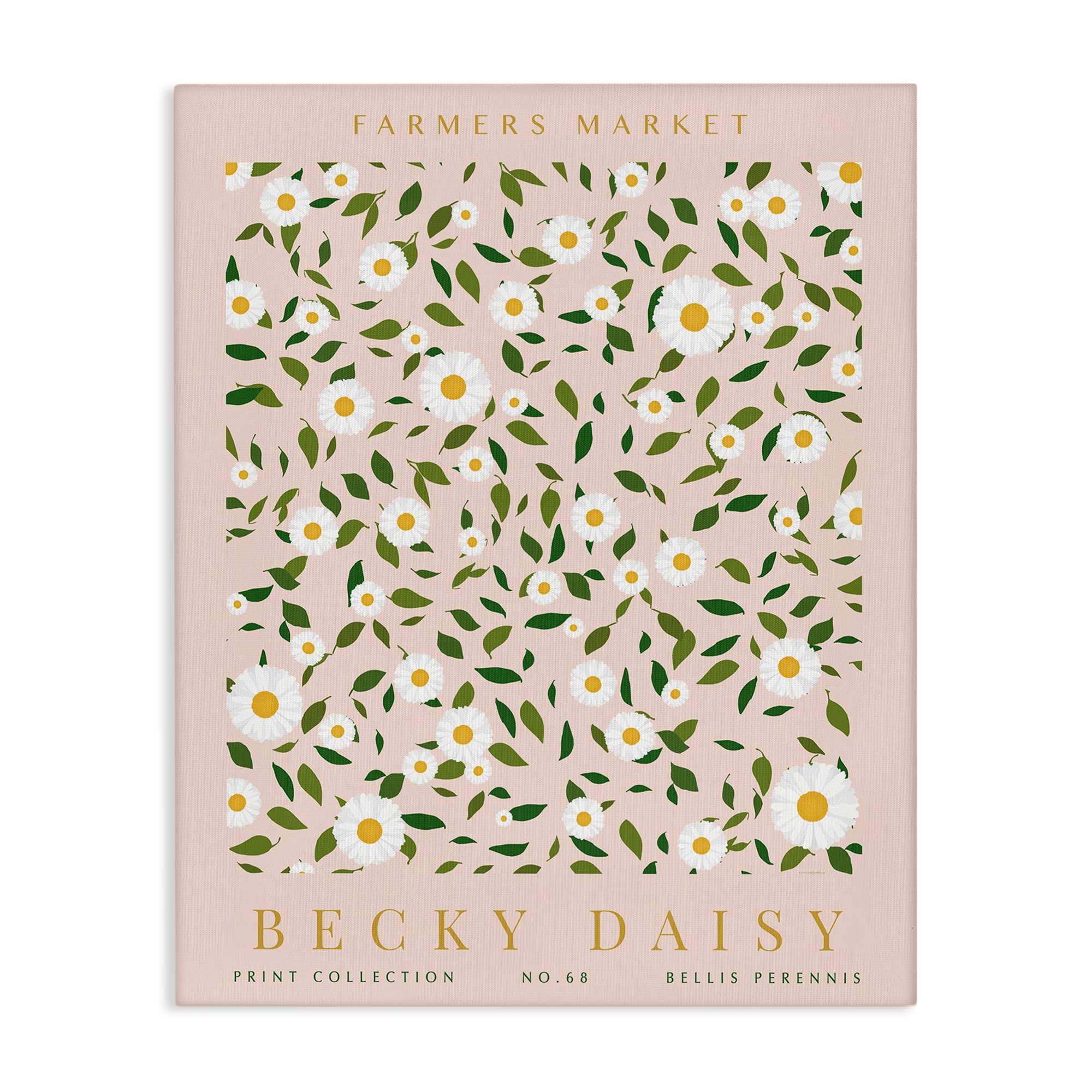 Stupell Industries BS-740-CN-16X20 Minimal Pastel Daisies Canvas Wall Art By Kamdon Kreations 16 x 20