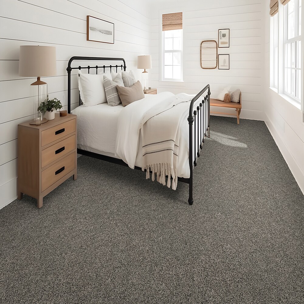 STAINMASTER SS011-L012-0808 Carpet-Samples - View #2
