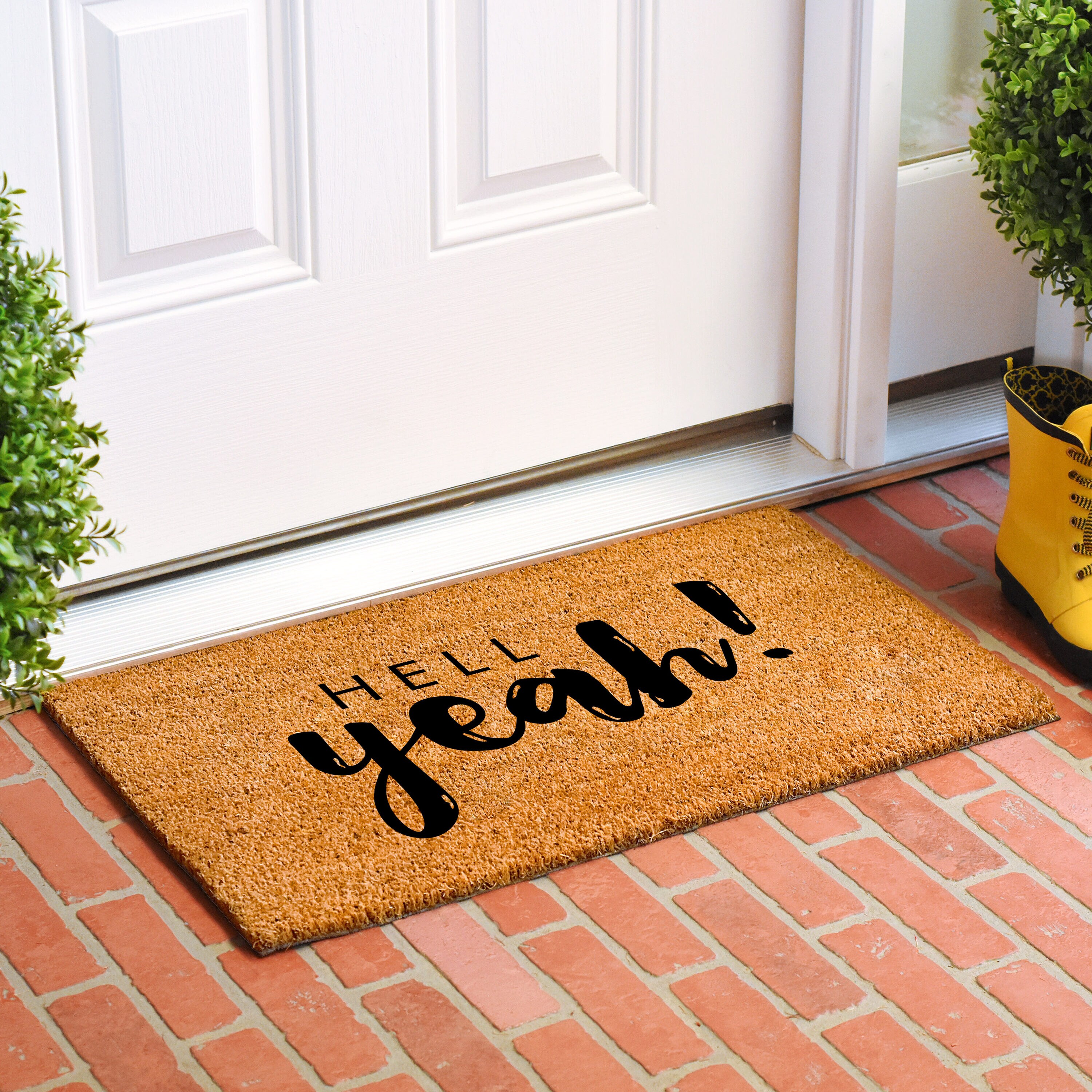 Callowaymills 108261729 Mats-Cat - View #2