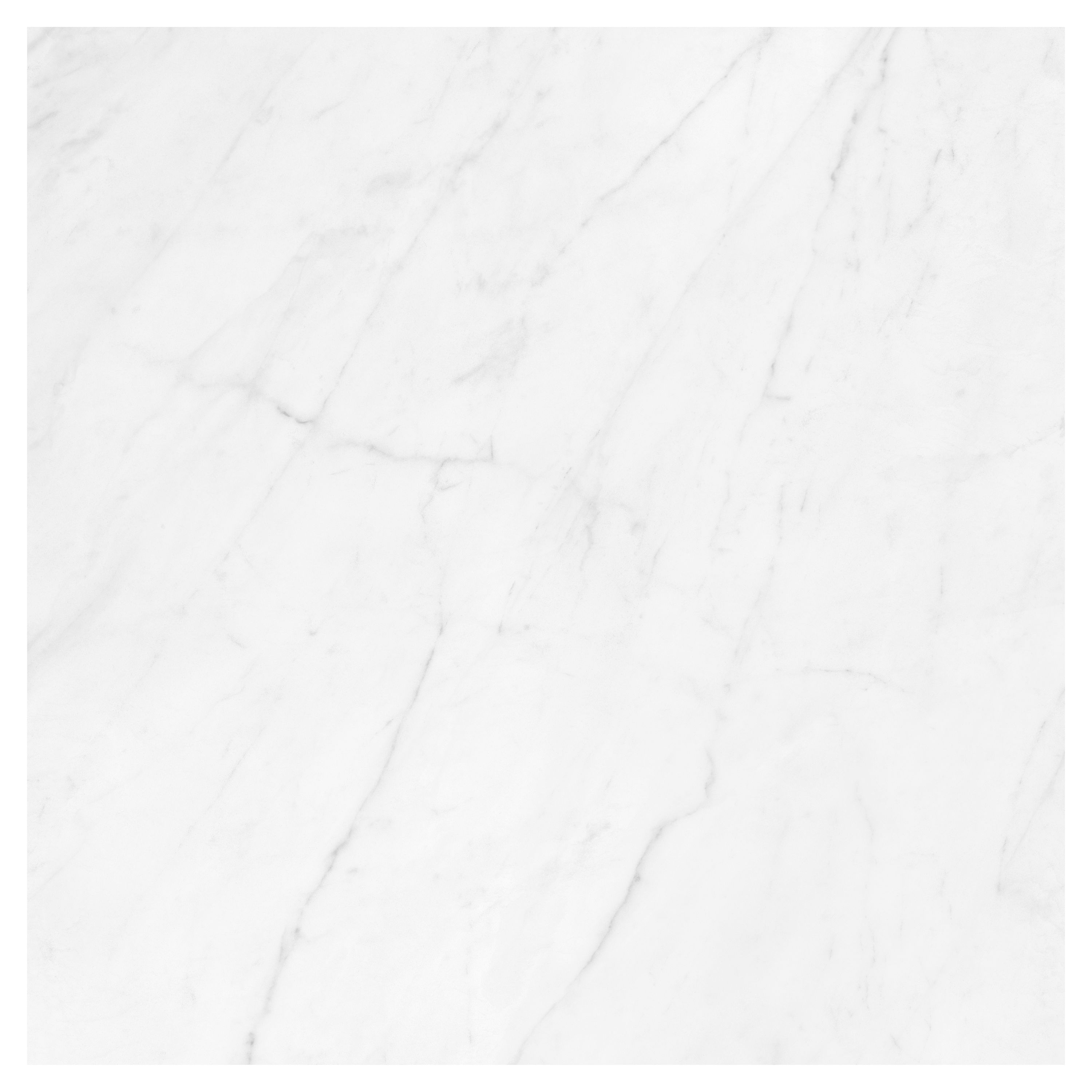 Satori Carrara Domani 24-in x 24-in Polished Porcelain Marble Look Floor and Wall Tile (3.87-sq. ft/ Piece)