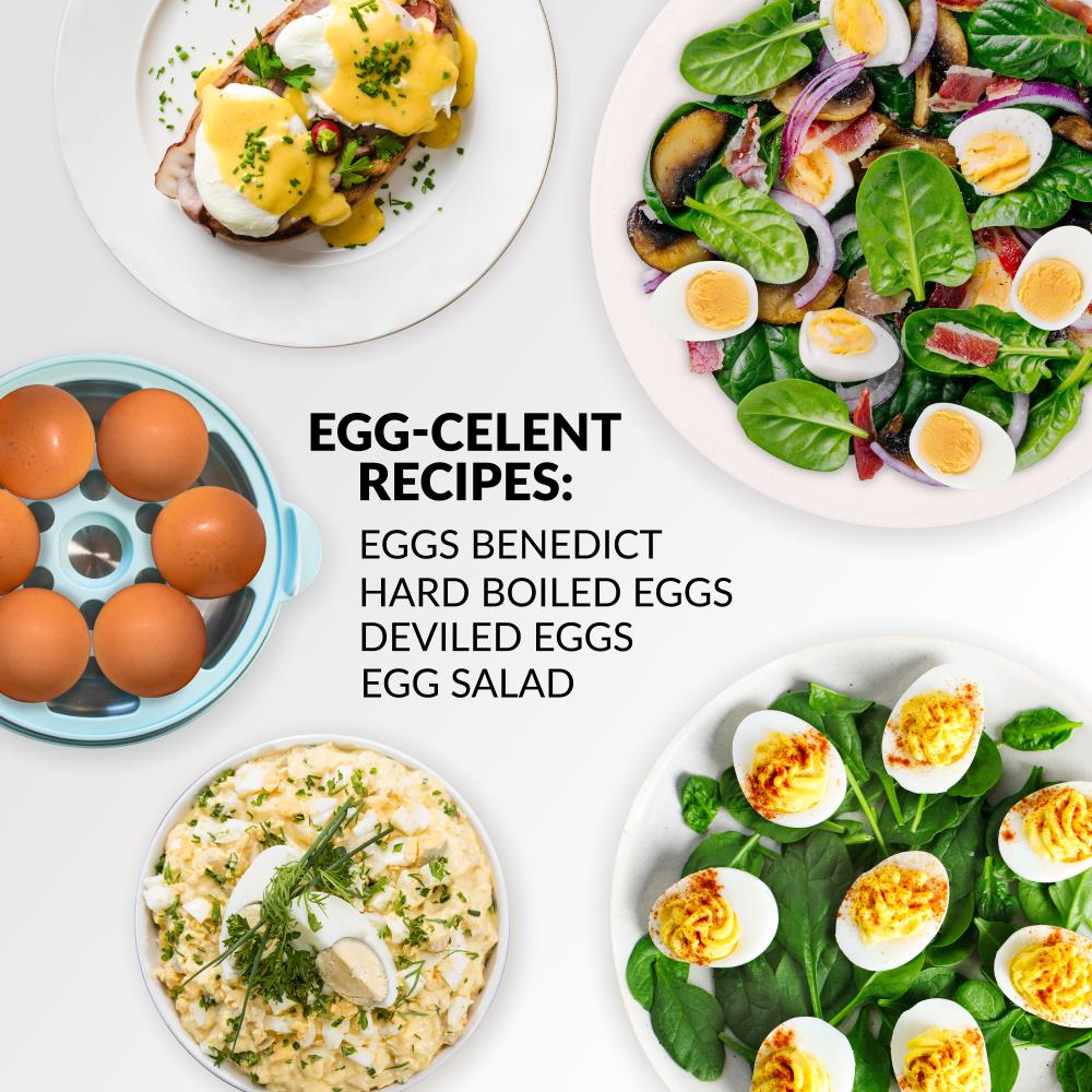 My Mini Egg Cooker Instructions: NOSTALGIA EC7AQ User Manual