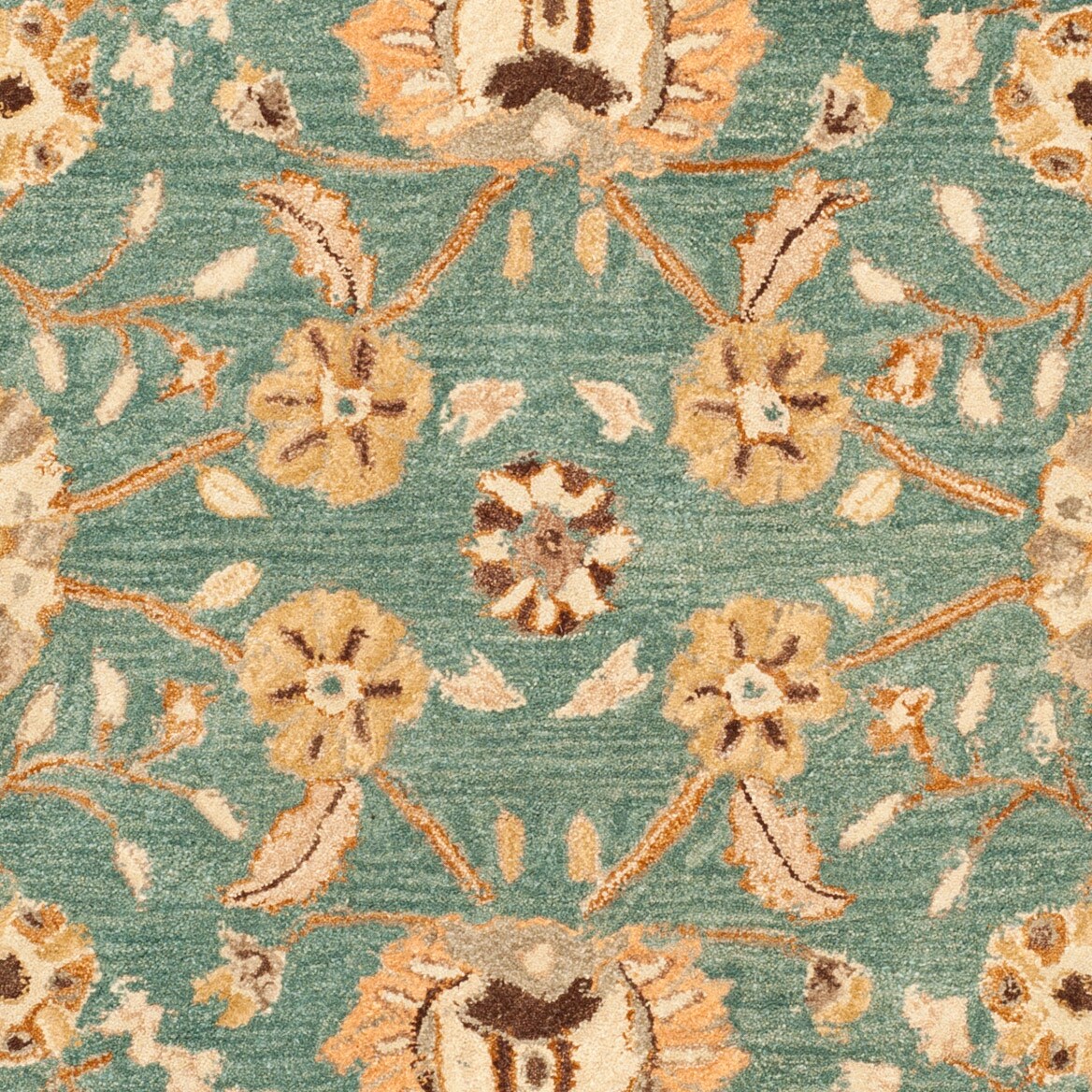 Safavieh AN558D-6R rugs - View #4