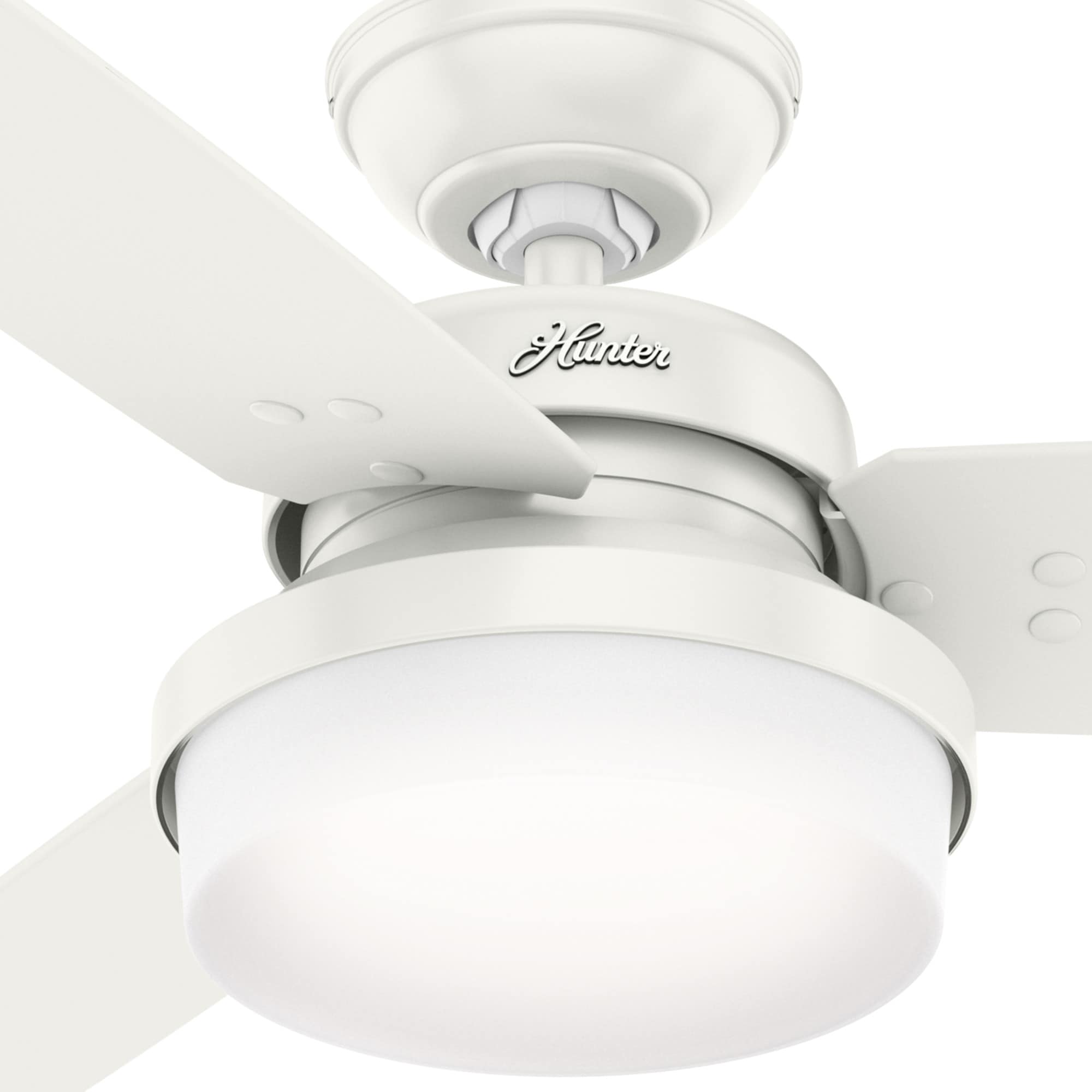 Hunter 59169 Ceiling-Fans - View #10