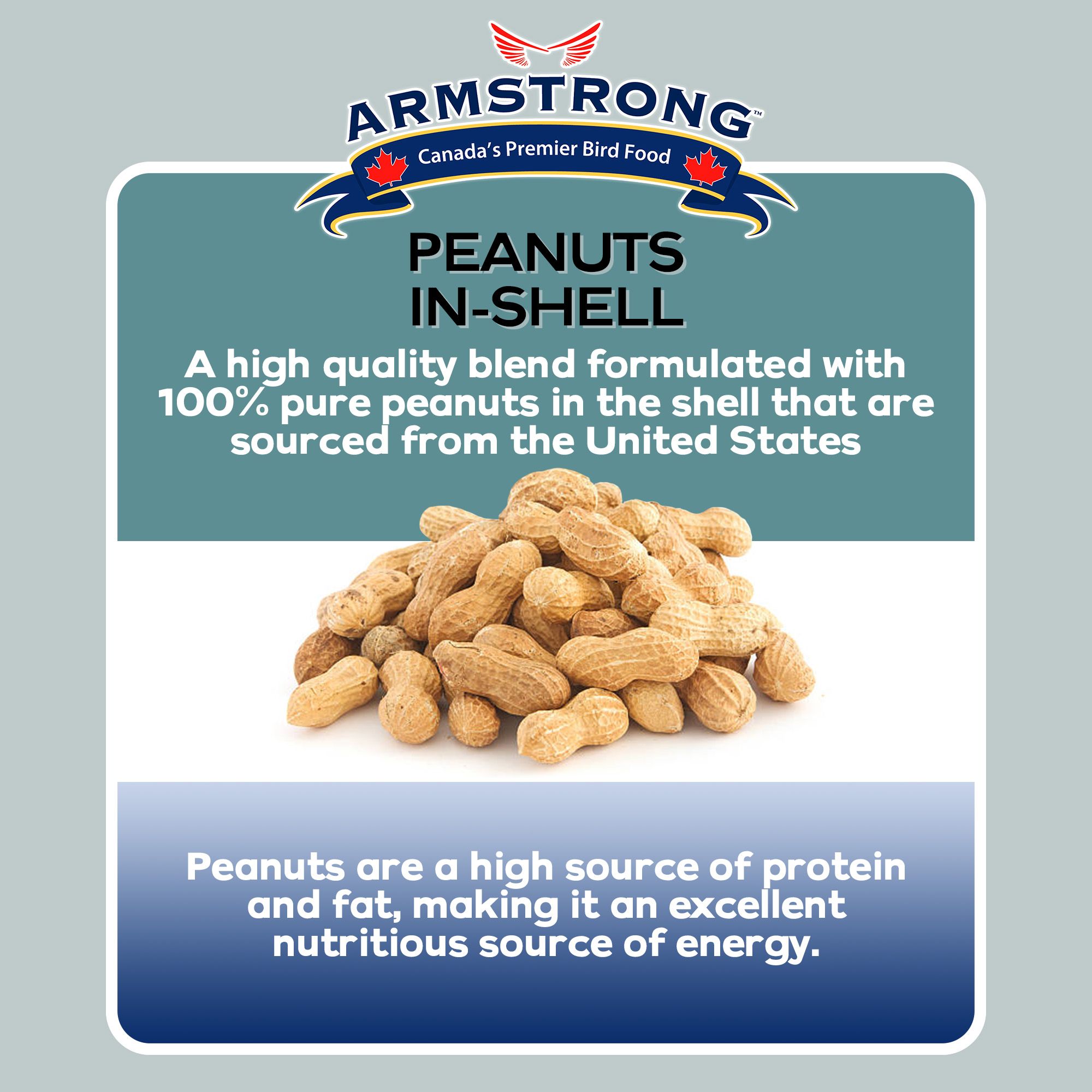 ARMSTRONG 300-681 Bird-Squirrel-Food - View #4