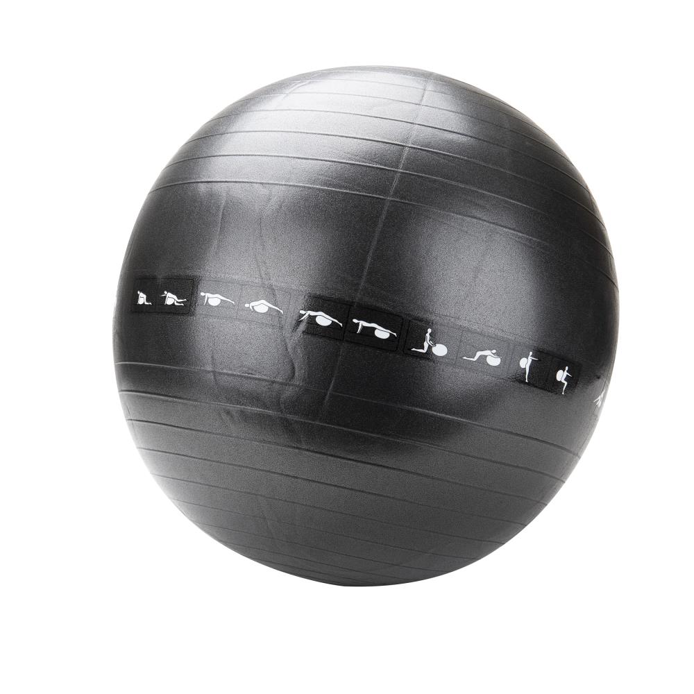 65cm Exercise Yoga Ball With Pump Anti Burst Slip Resistant Balance Stability 