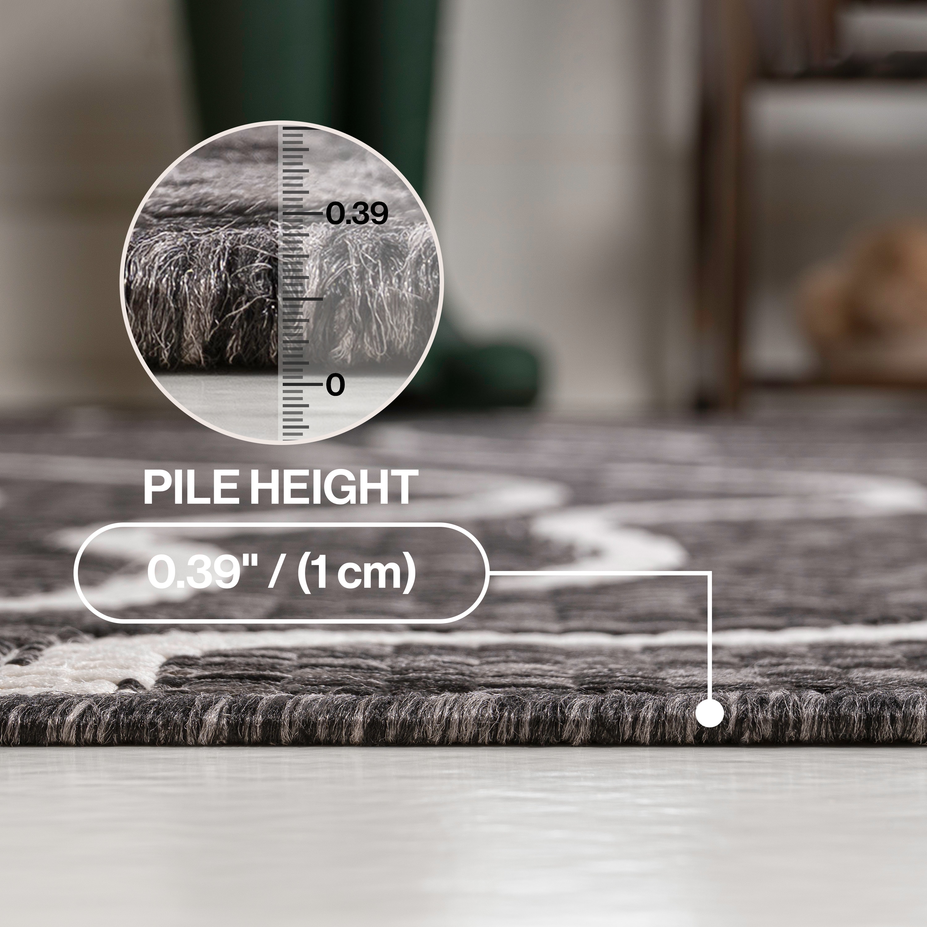 JONATHAN  Y TSN307B-5 rugs - View #6
