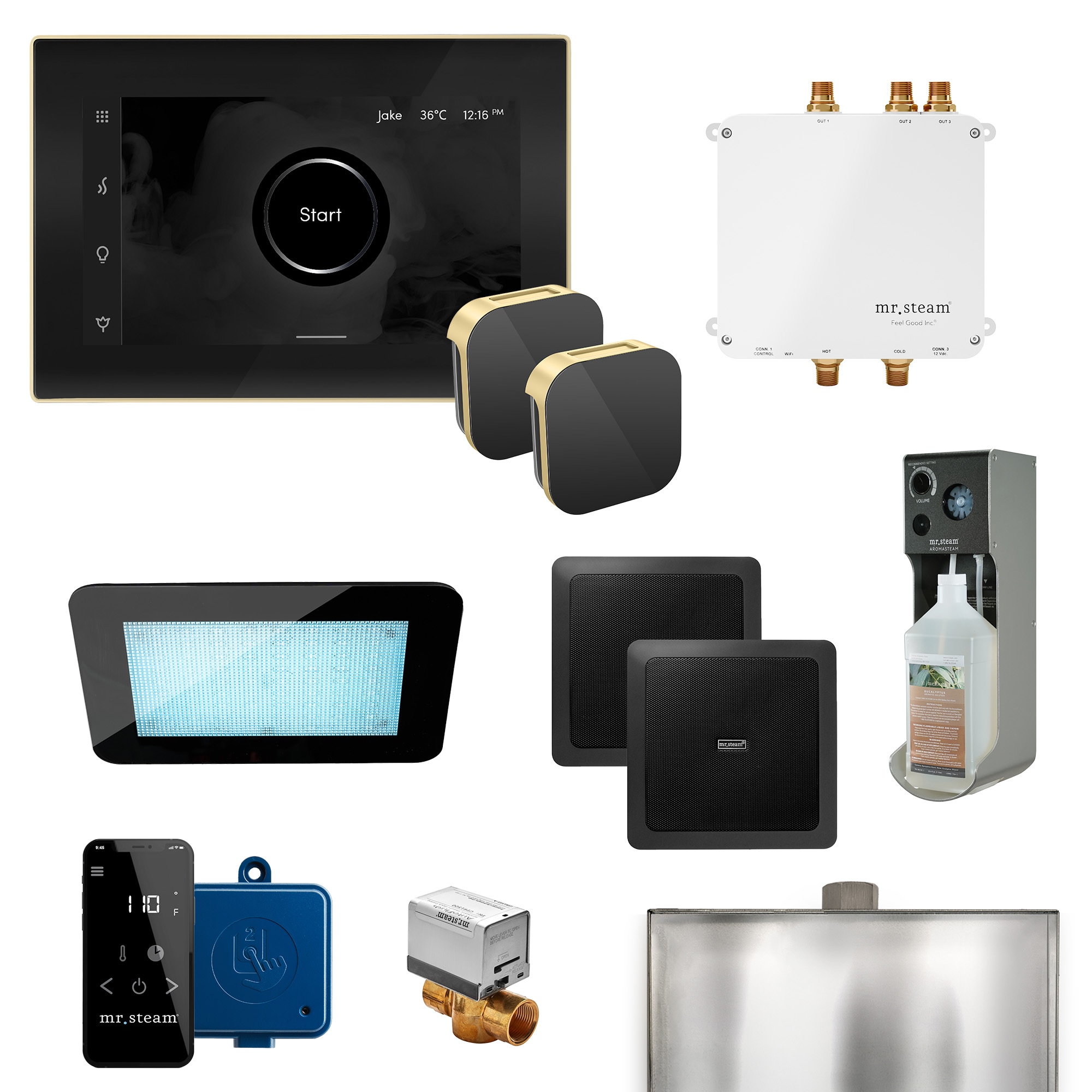 Mr. Steam BLS-BKXMB Bliss Max 600-Watts Matte Black Steam generator control kit