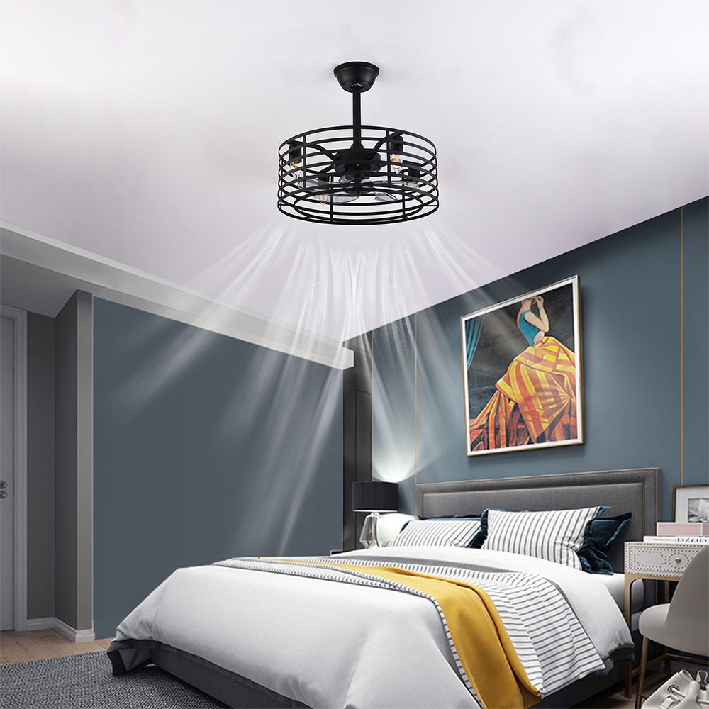 20'' Black Industrial Caged Ceiling Fan with Lights and Remote