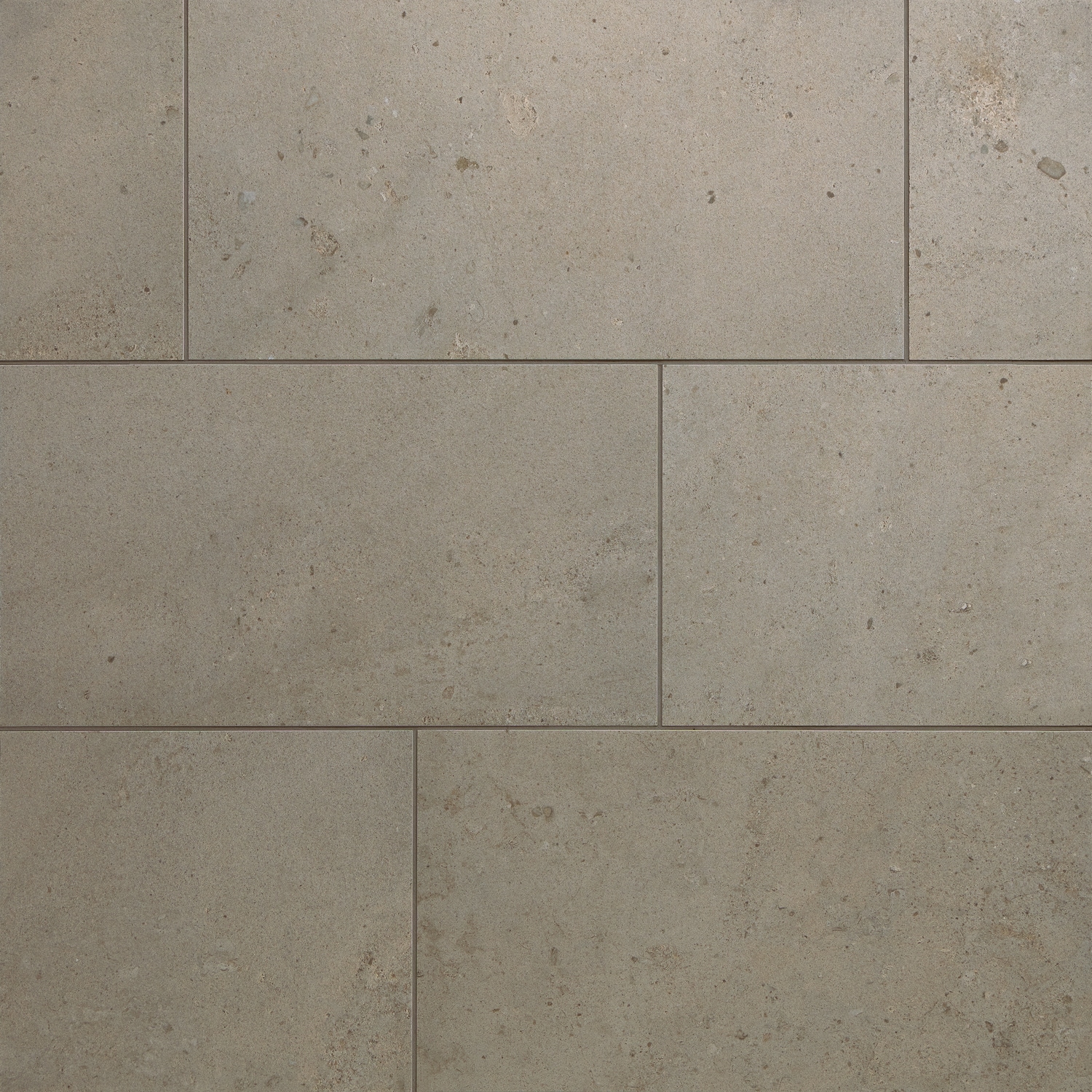 Daltile Sand and Stone Dune 12-in x 24-in Matte Porcelain Floor and Wall Tile ( 11.57-sq ft Carton )
