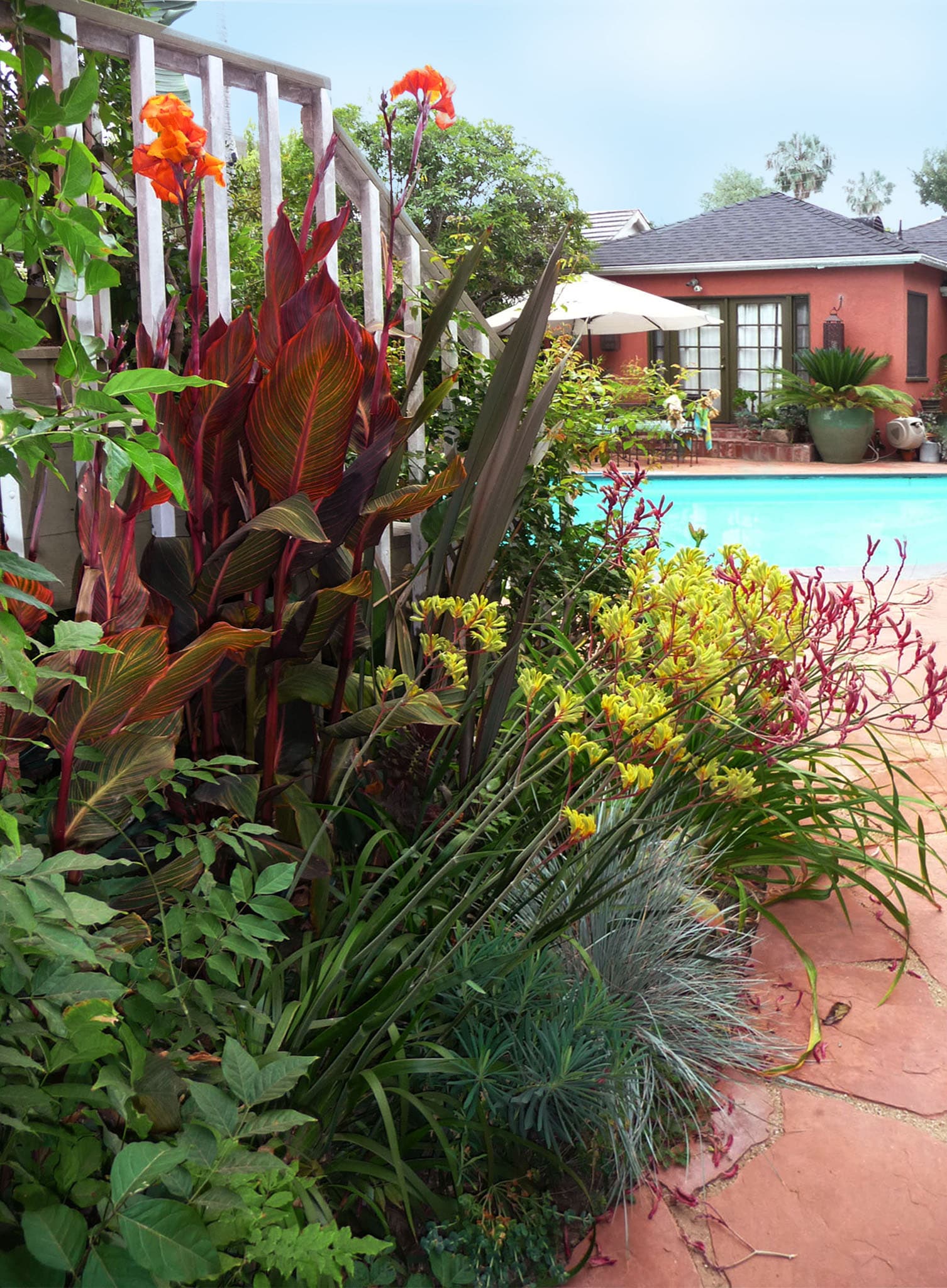  1109 perennials - View #5