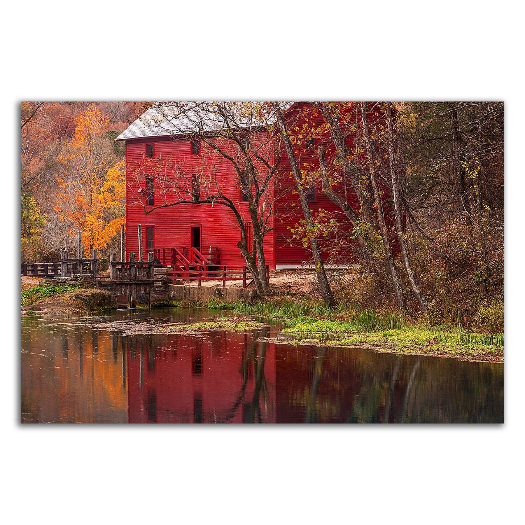 Tangletown Fine Art 8H1520DC-3624 Wall-Art - View #3