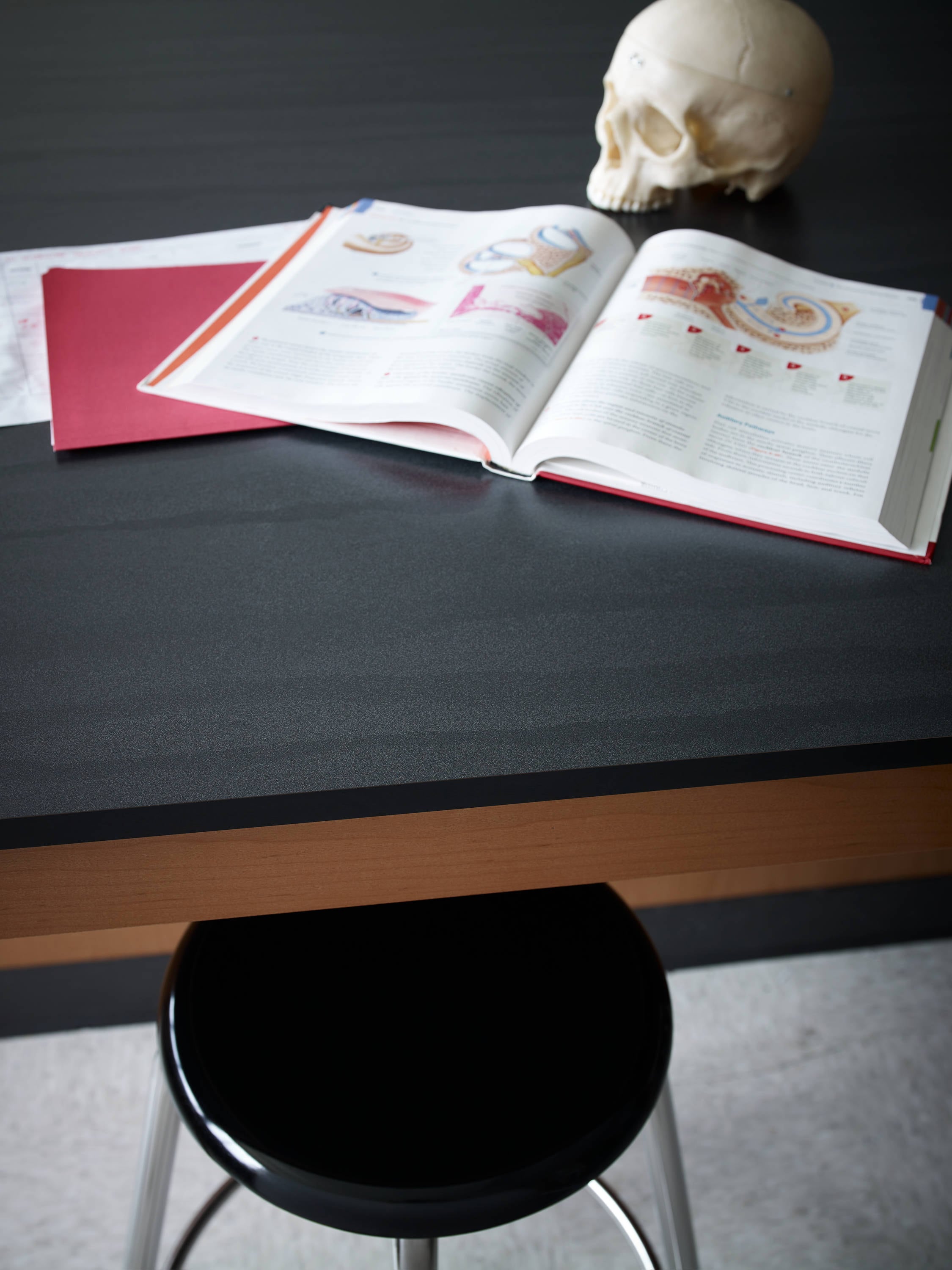 Formica 4 ft. x 8 ft. Laminate Sheet in Black Birchply with Premiumfx Natural Grain Finish