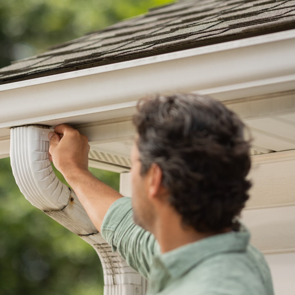 T-Rex 243092 Duct-Tape - View #6