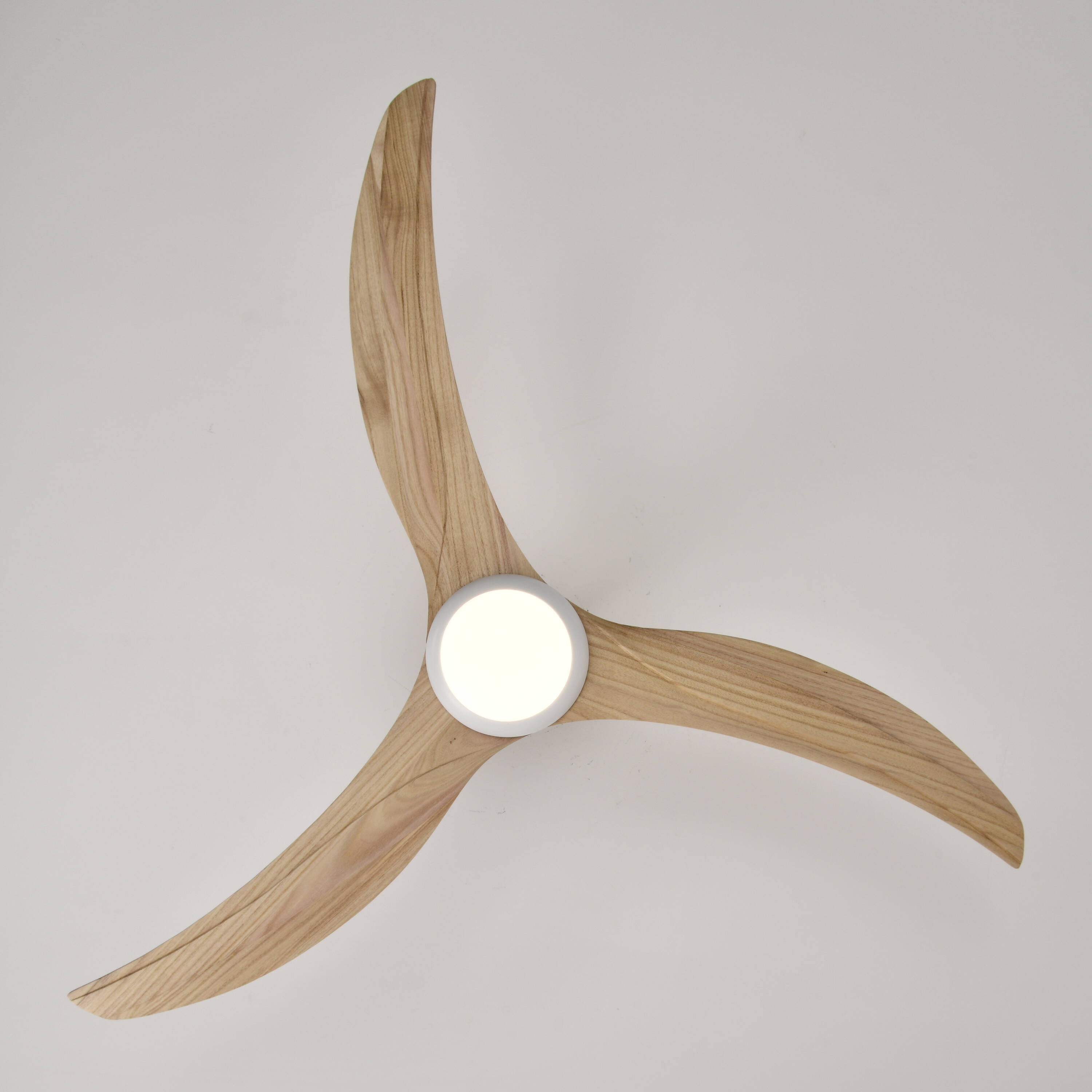 Oaks Decor BDHEMP176976 Ceiling-Fans - View #8