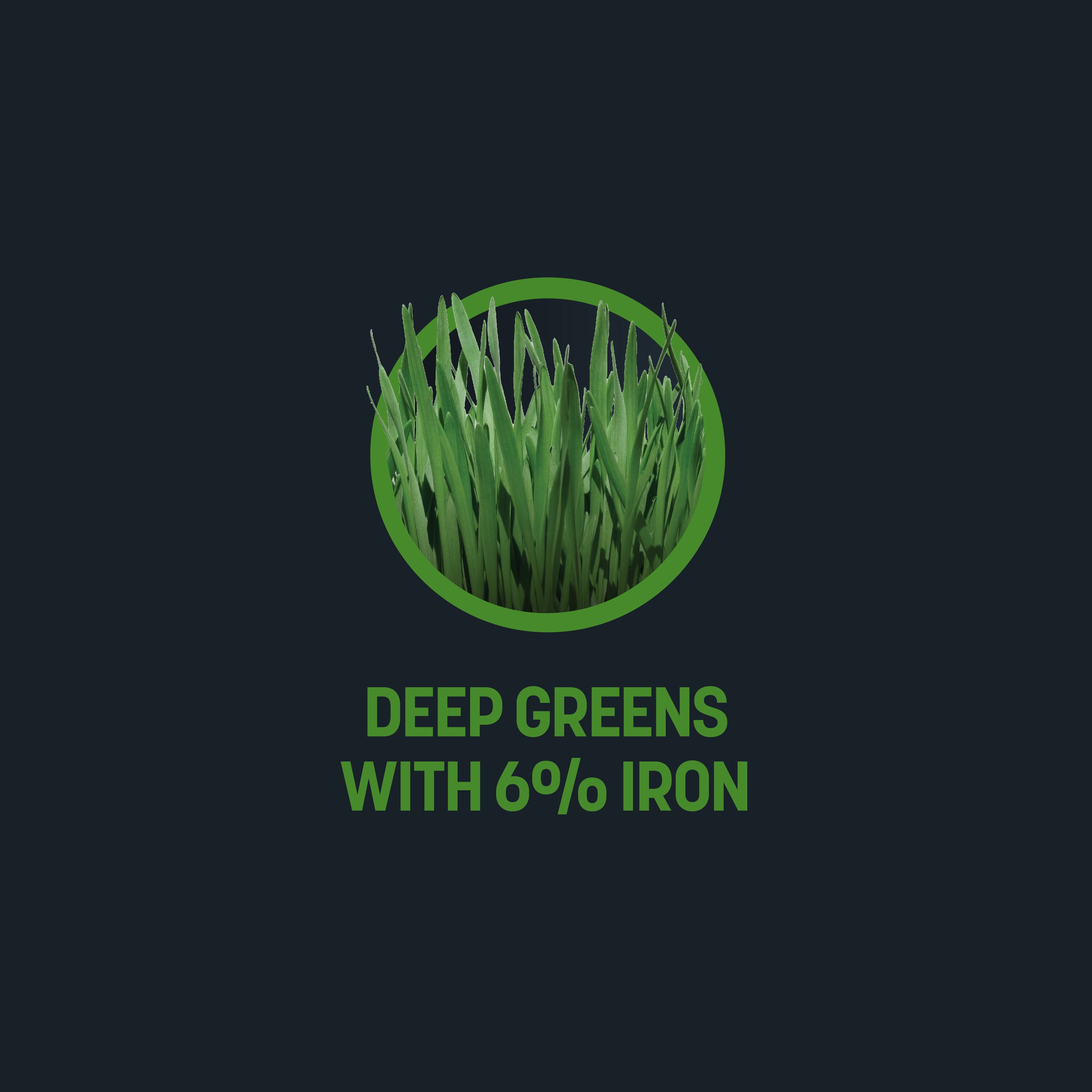 Sta-Green 904746 Lawn-Fertilizer - View #4