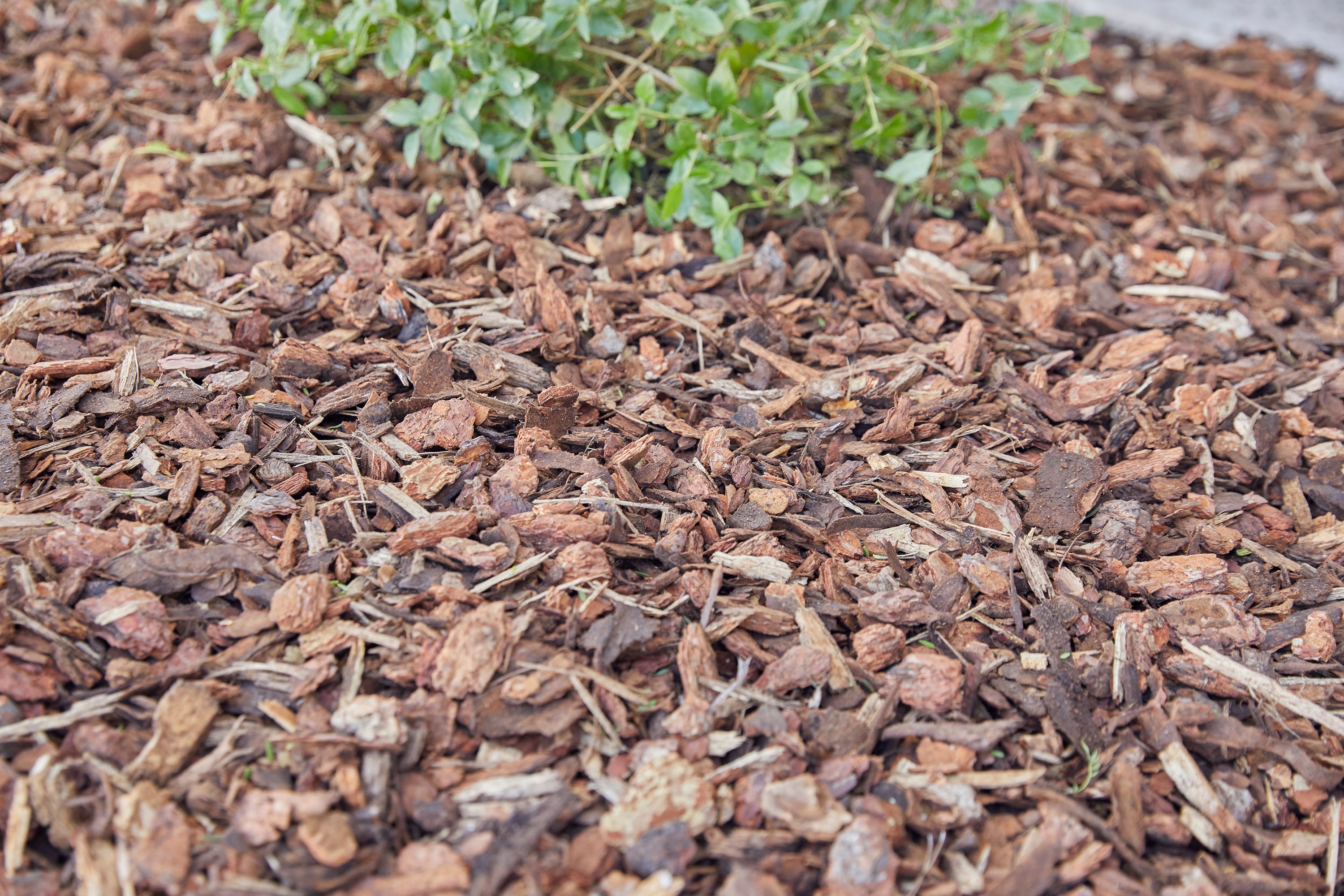 Garden Time 2-cu ft All-natural Reddish Color Mulch in the Bagged Mulch  department at