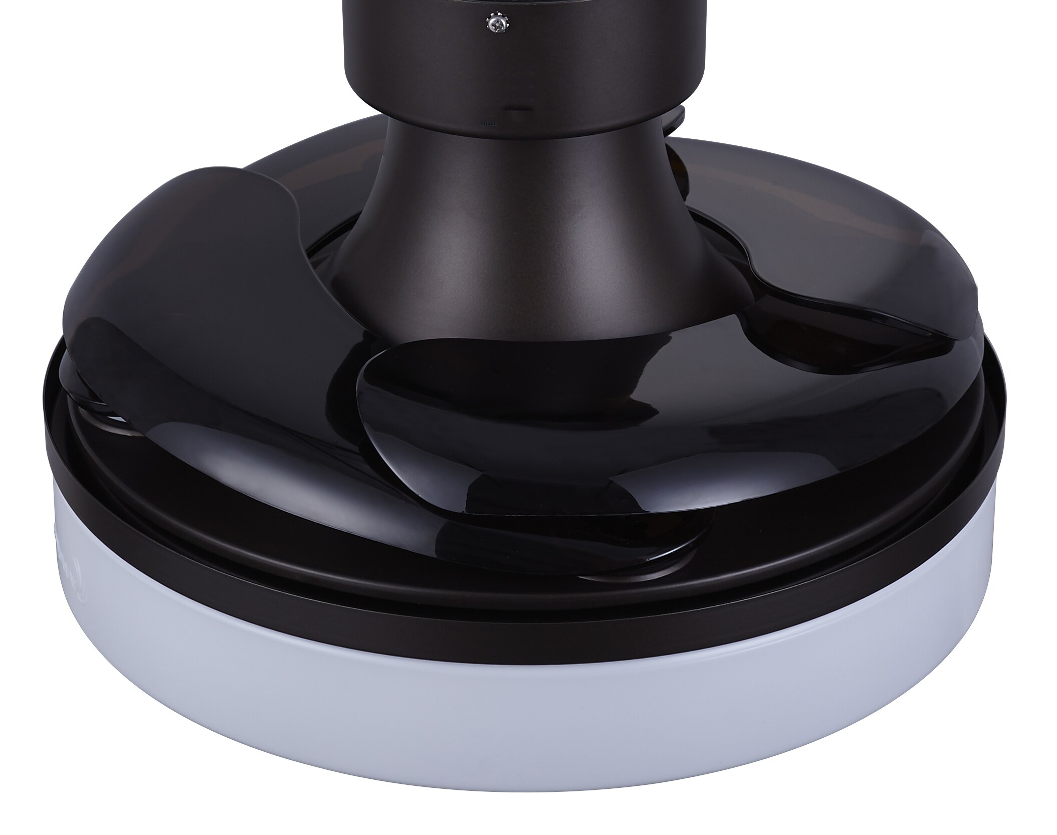 Fanaway 21066601 Ceiling-Fans - View #6