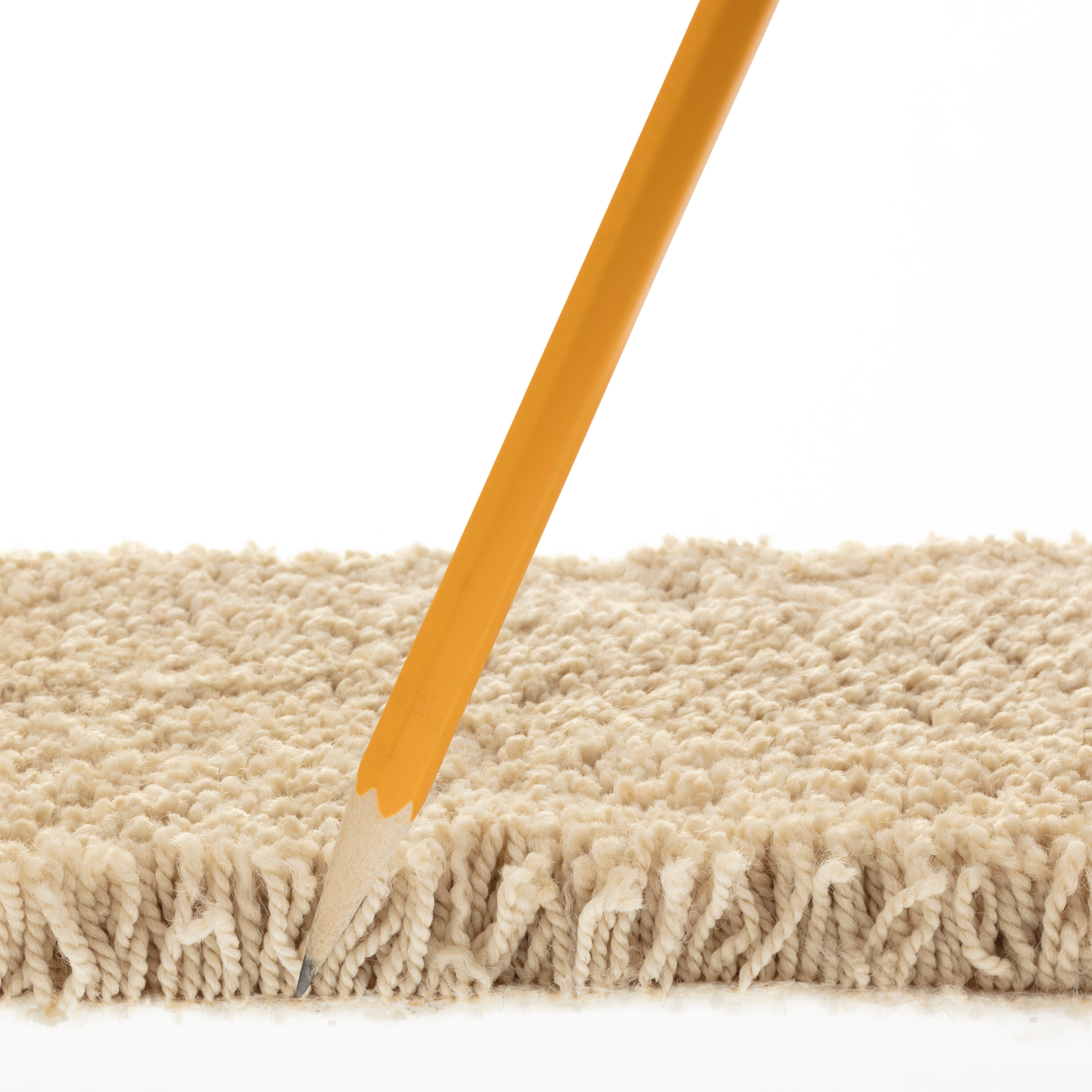 STAINMASTER 7L793-107-SAMP Carpet-Samples - View #6