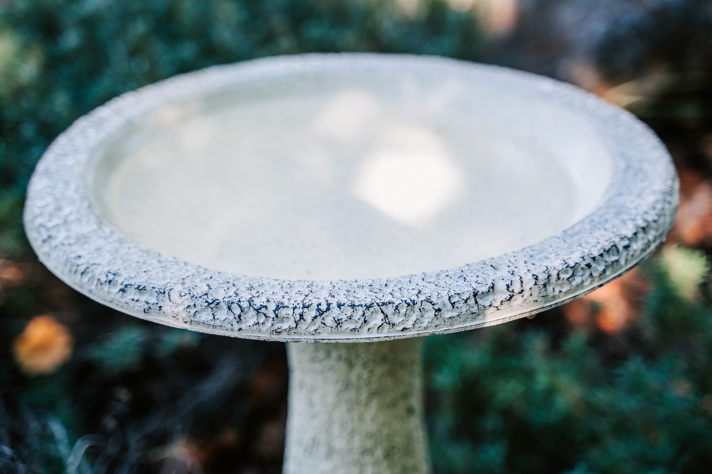 XBrand GE2418BBYE-2 birdbaths - View #5