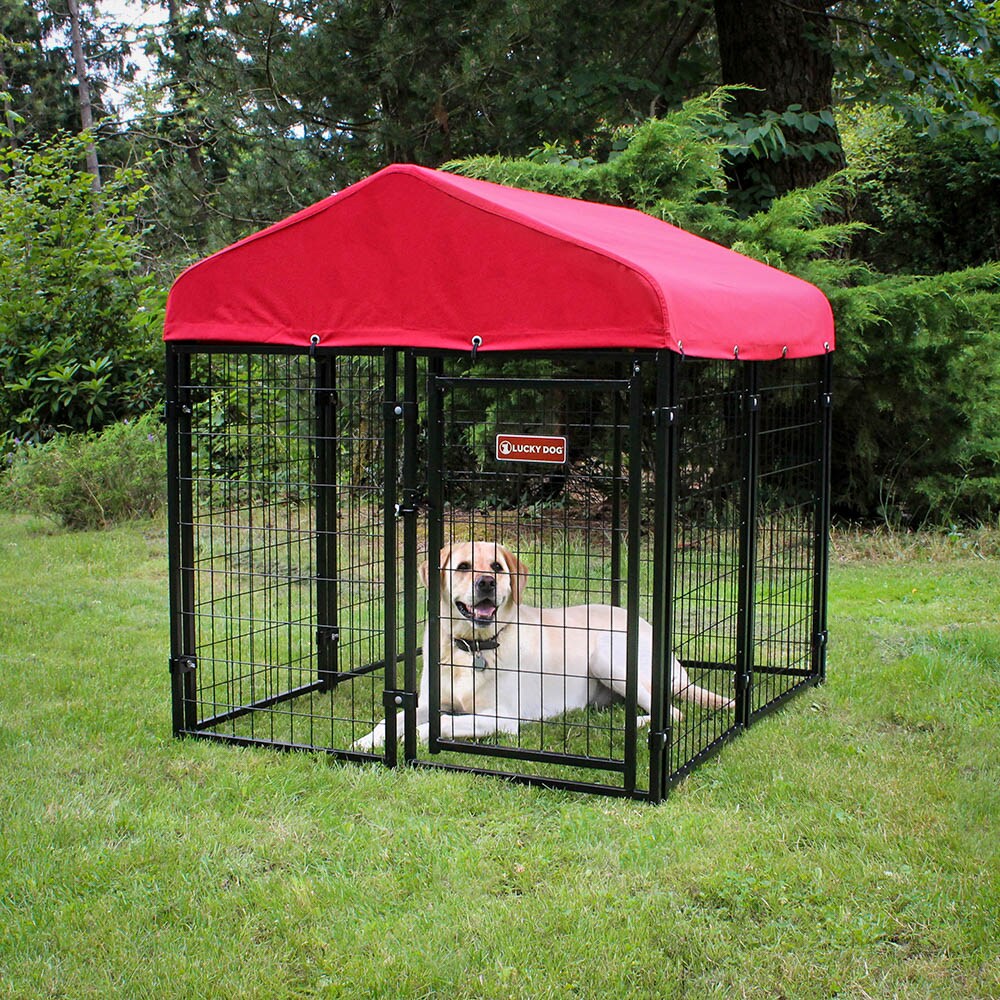 Lucky Dog PRRSUN-E0210 Pet-Crates-Carriers - View #5