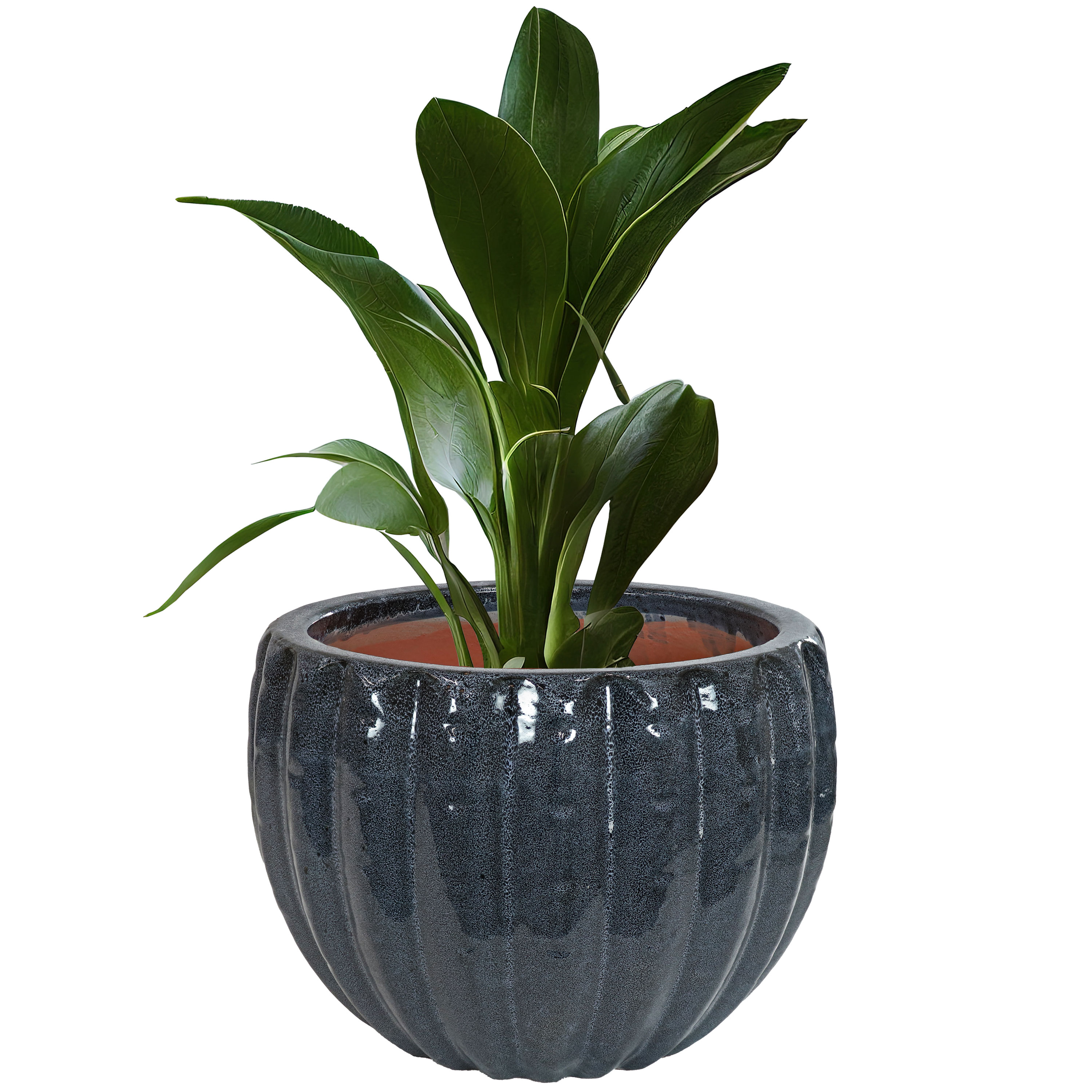 Sunnydaze Decor VBD-691 Round 11.0-in W Small Black Ceramic Outdoor Planter with Drainage Holes