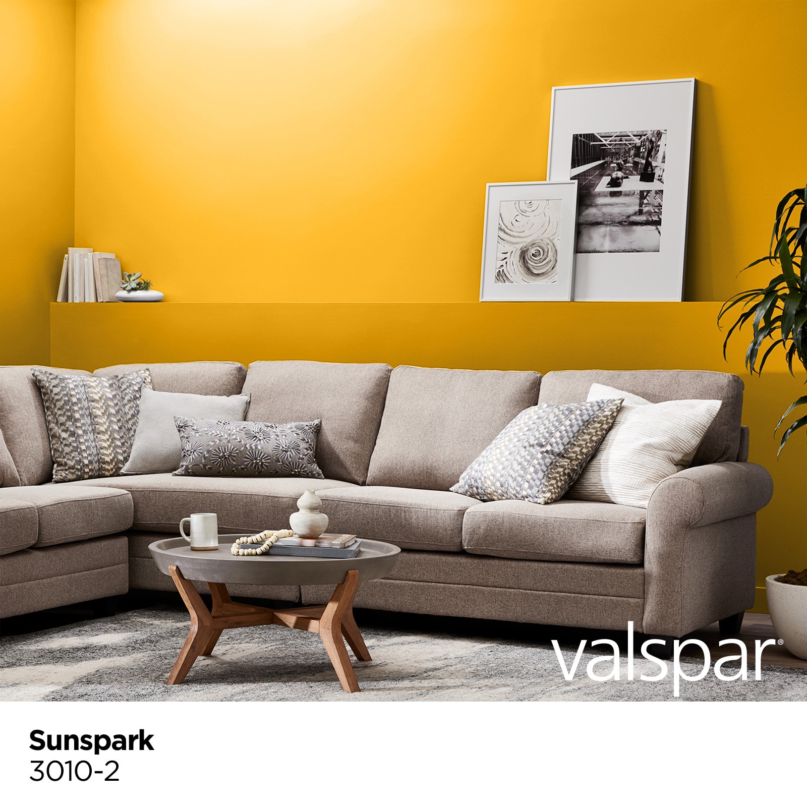Valspar 3010-2-28328 Int-Ext-Paint - View #2