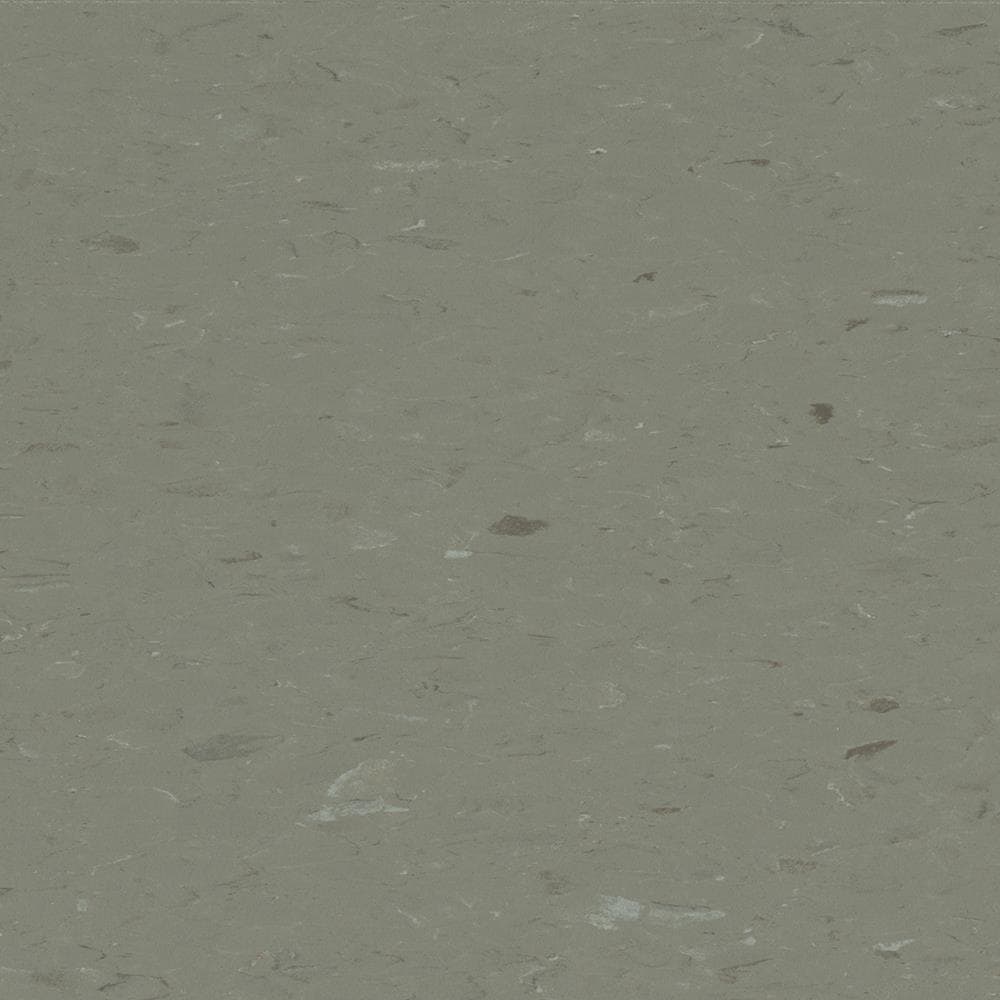 Congoleum Alternatives 45-Piece 12-in x 12-in Mink VCT Tile Congoleum Alternatives 45-Piece 12-in x 12-in Mink VCT Tile