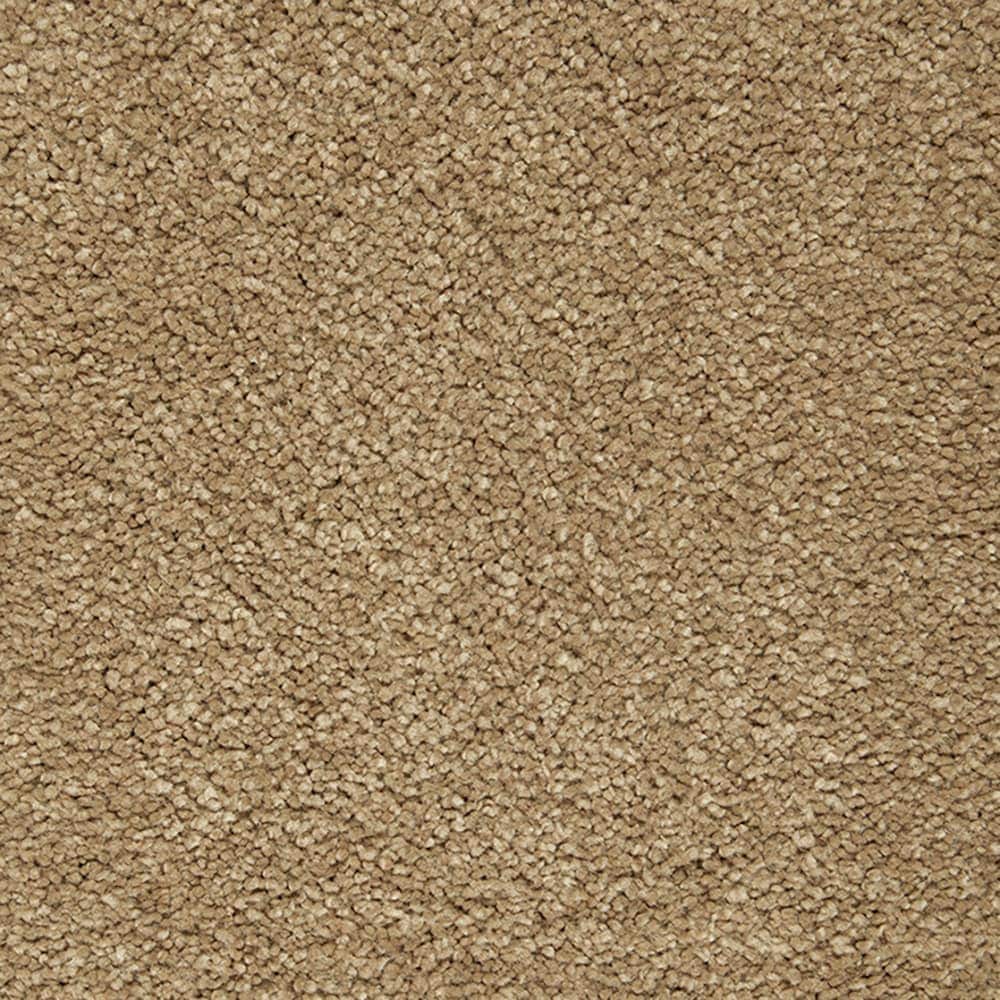 STAINMASTER PetProtect STP56-L023-0808 (Sample) Pawfection Jasper Brown 70-oz sq yard Triexta Textured Indoor Carpet