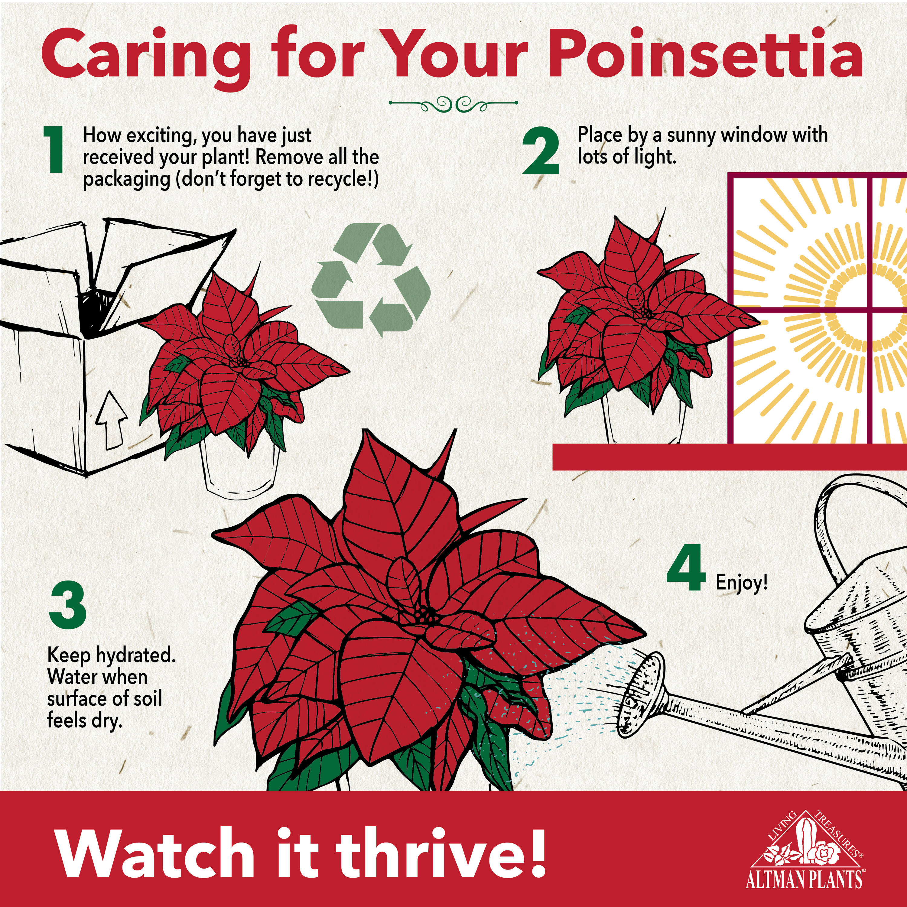 Altman Plants 0872653 Fresh-Cut-Christmas-Decorations - View #6