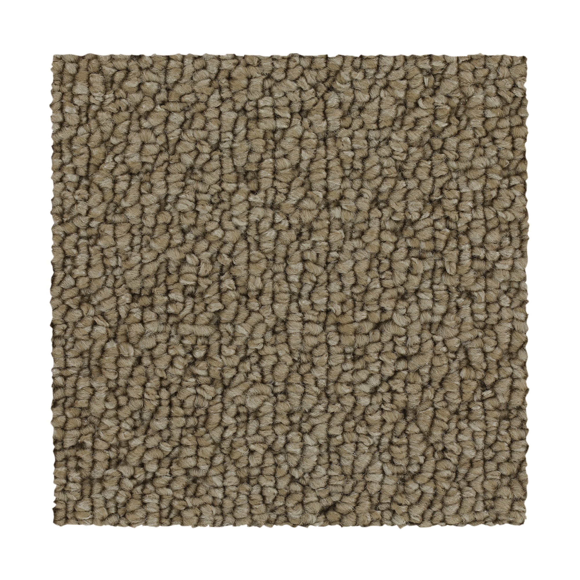  SS027-12-L005 Pro Renovations - Shaded Solace Hand Made Brown 25-oz sq yard Solution-dyed polyester Pattern Indoor Carpet